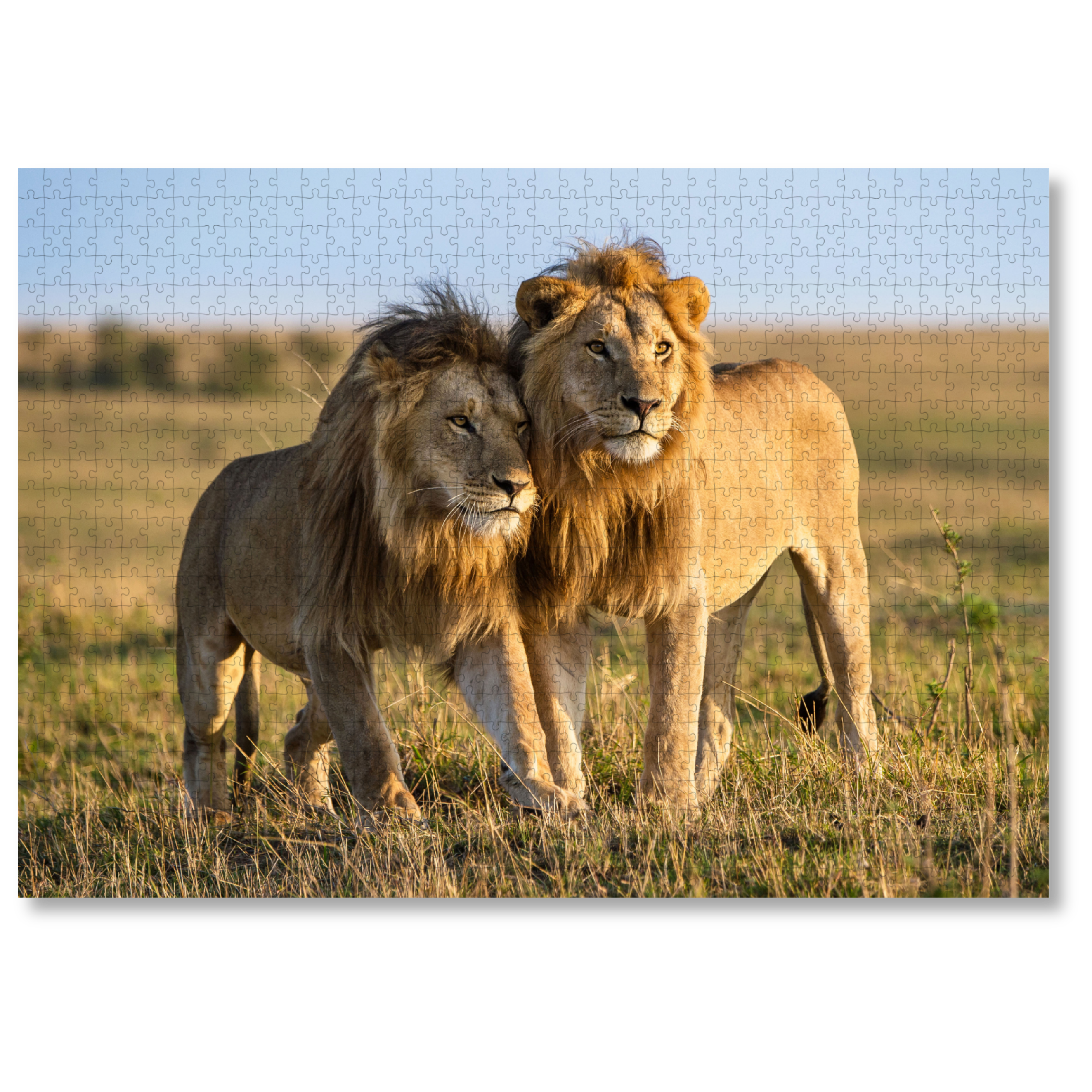 Brotherhood – MasterPiece Puzzles
