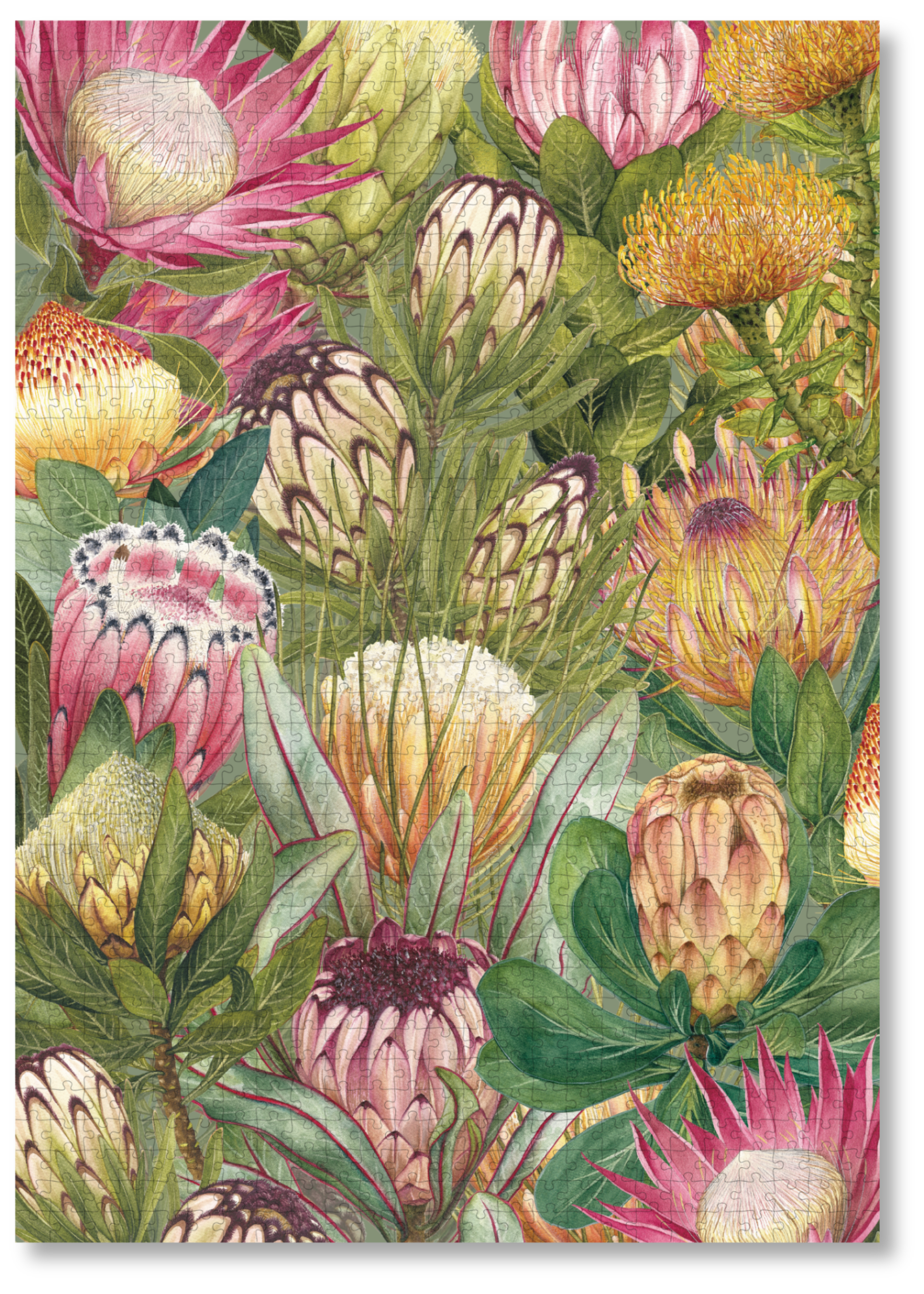 Collection Of Proteas by Libby Bell – MasterPiece Puzzles