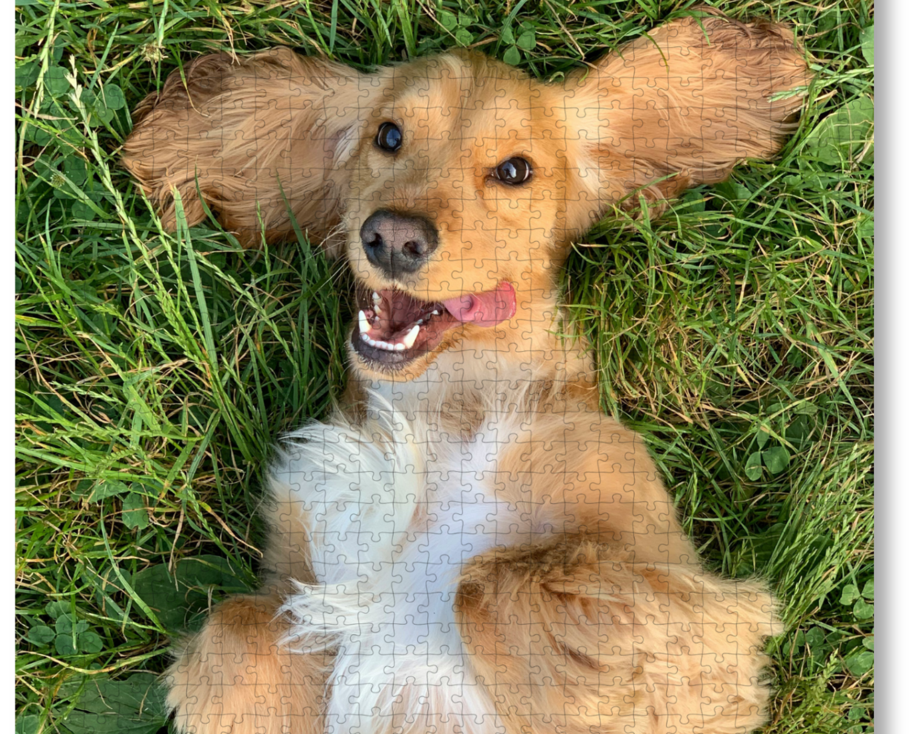 Best Gift Ideas: Why Custom Photo Puzzles Make the Perfect Present