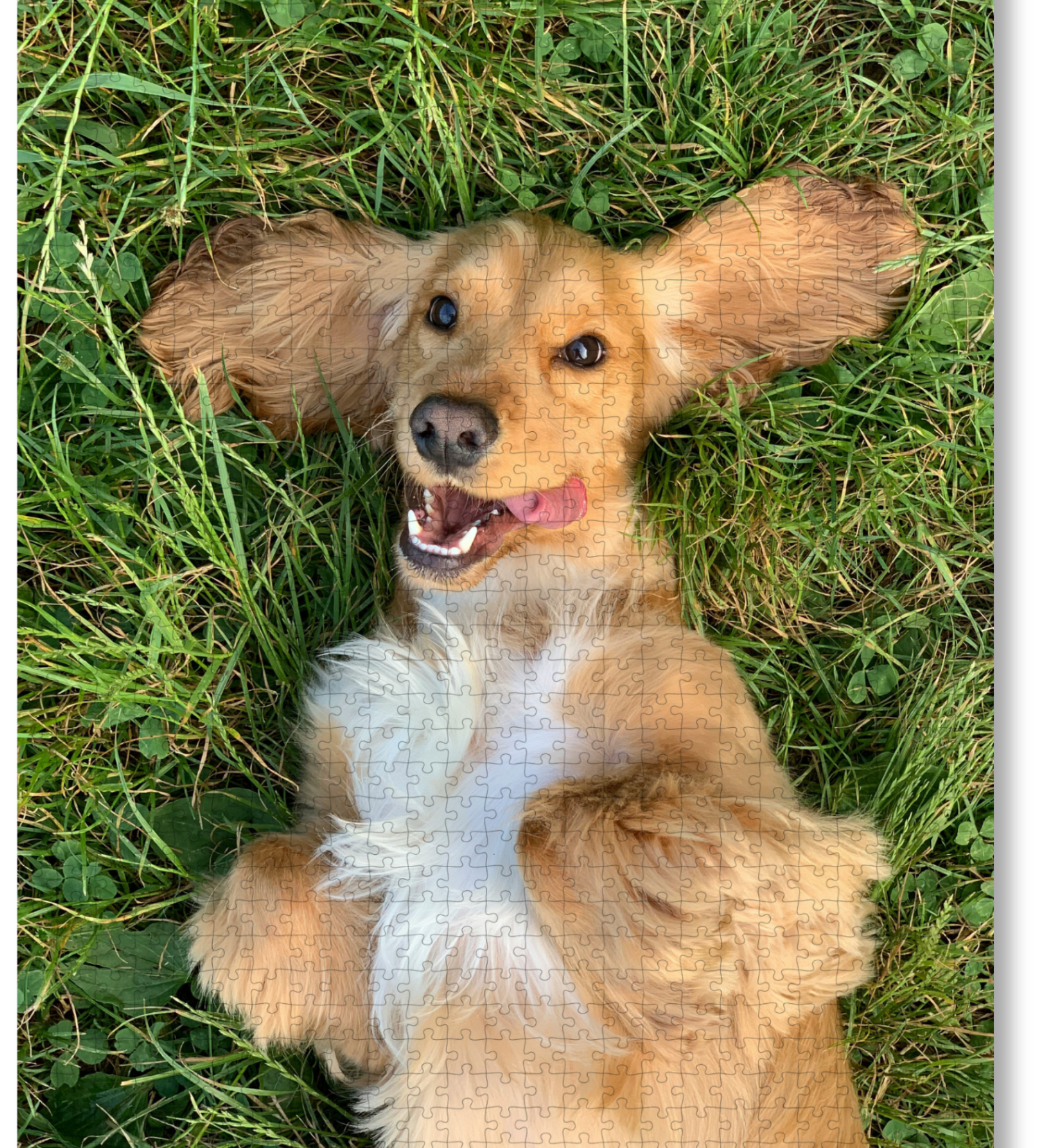 Best Gift Ideas: Why Custom Photo Puzzles Make the Perfect Present