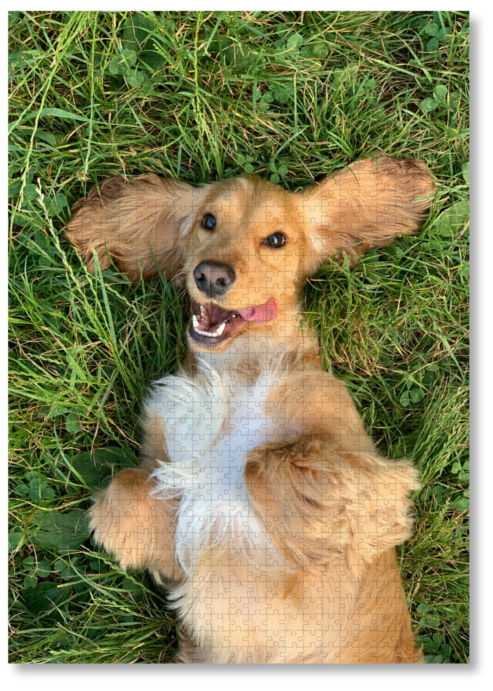 Best Gift Ideas: Why Custom Photo Puzzles Make the Perfect Present