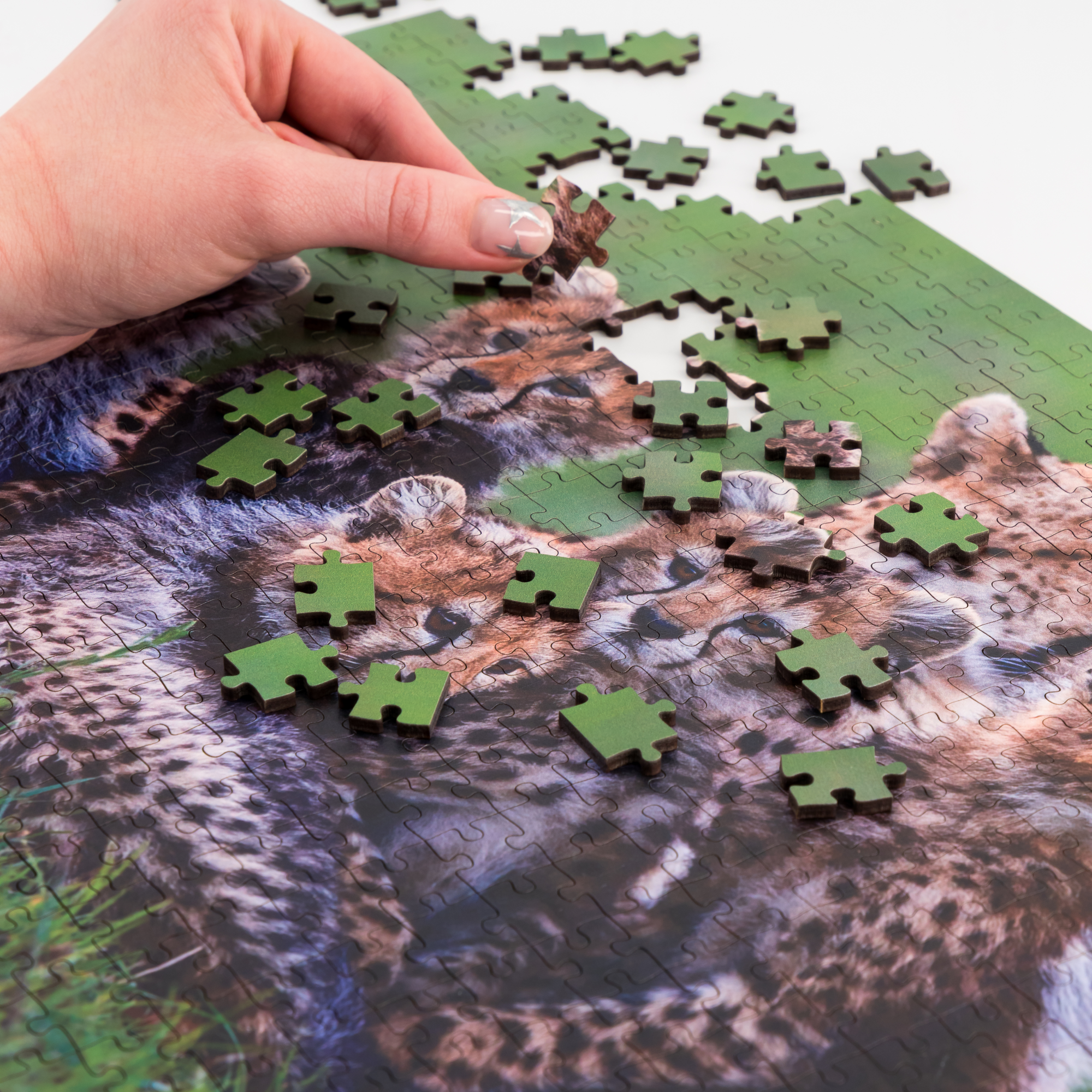 Luxury wooden puzzles of South African wildlife taken by South African photographs.. A fun activity, heirloom and even artwork.