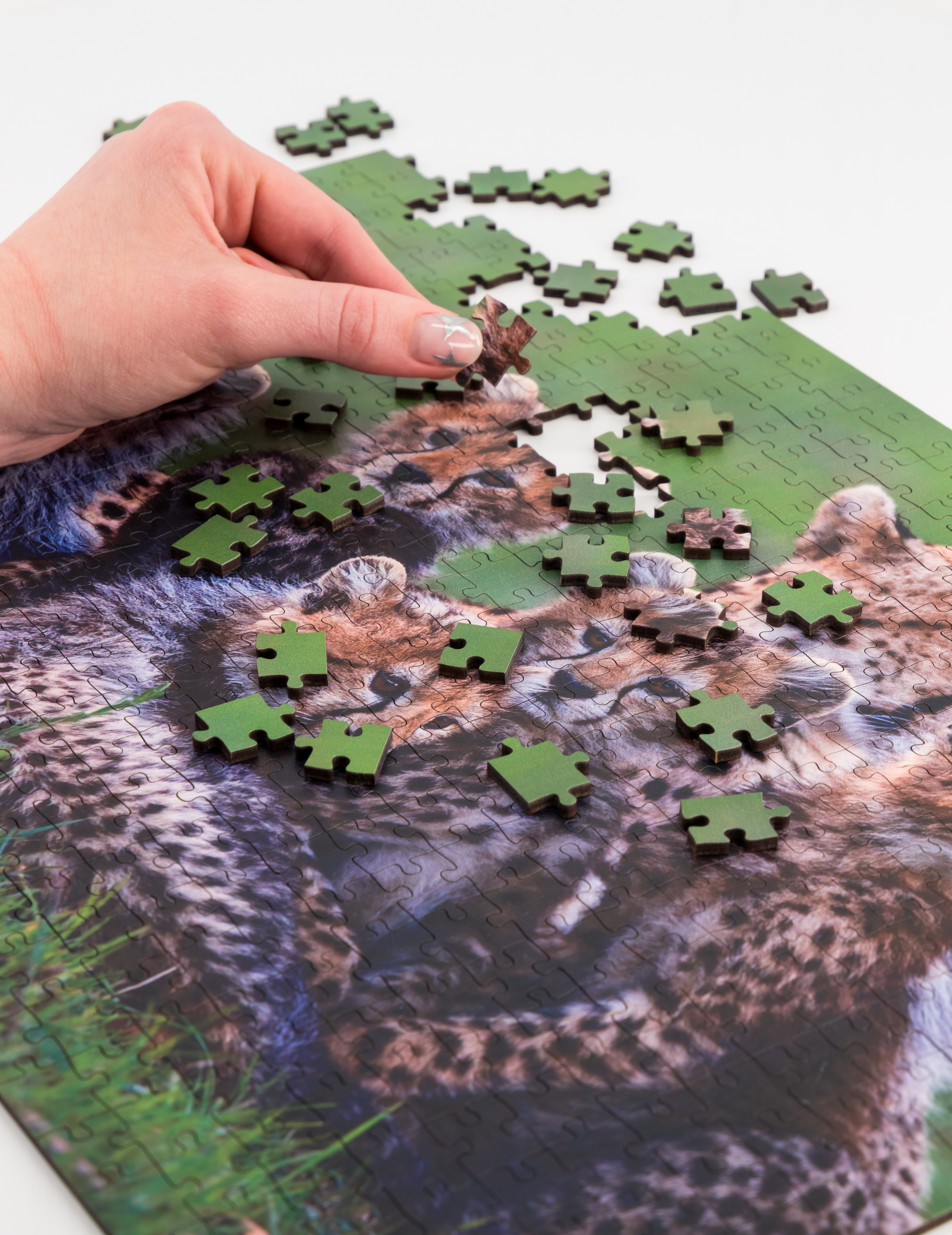 Luxury wooden puzzles of South African wildlife taken by South African photographs.. A fun activity, heirloom and even artwork.