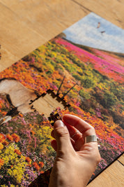 Namaqualand is a MasterPiece wooden jigsaw puzzle from the African Odyssey poster series designed to showcase Africa’s most iconic natural wonders. This one captures the region in South Africa famous for its stunning spring wildflower bloom. Precision-cut from 3mm thick wood and expertly printed, our MasterPiece puzzles offer a tactile and satisfying puzzling experience like no other. They are perfect for art lovers, nature enthusiasts and anyone looking for a thoughtful gift.