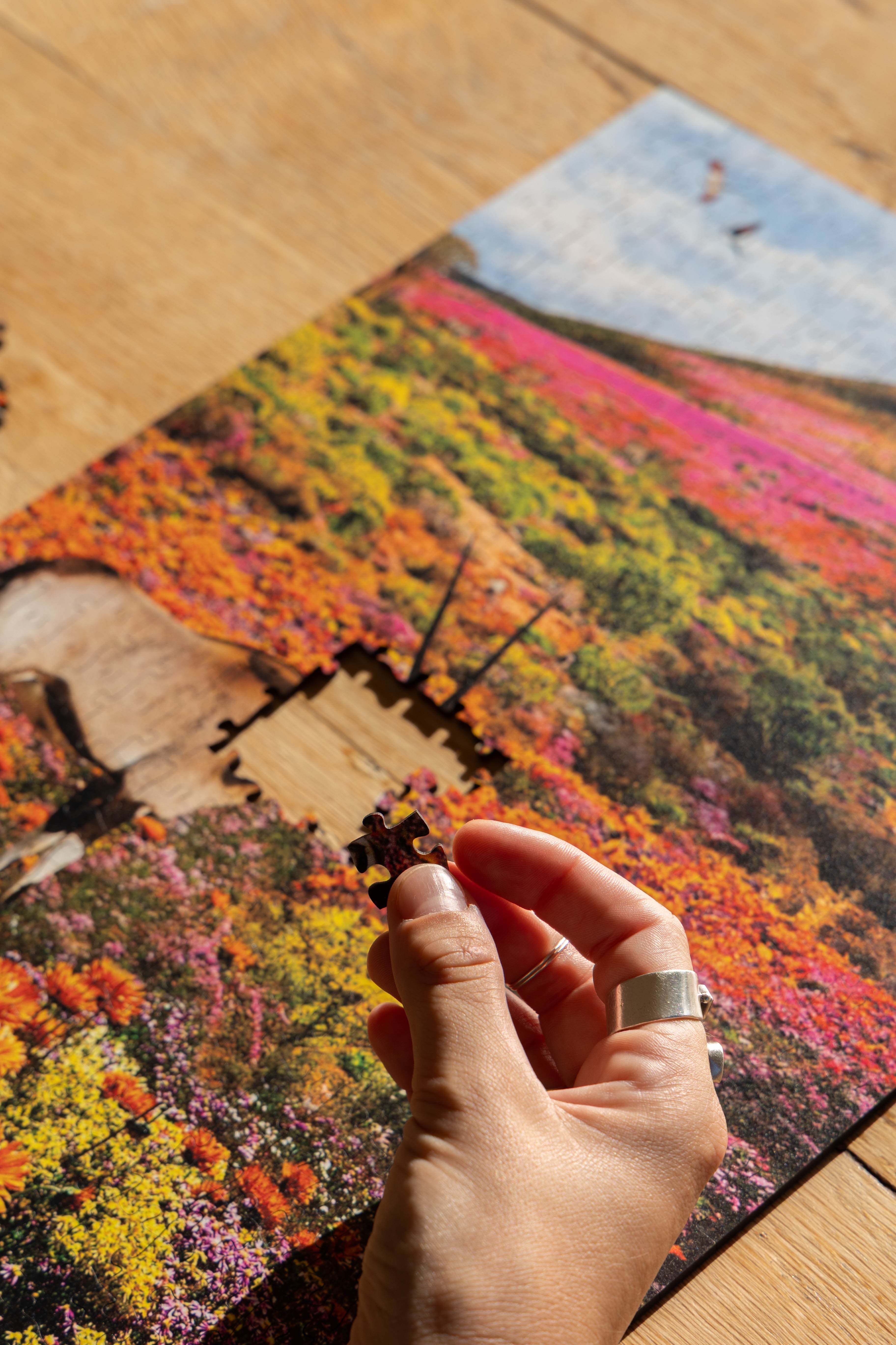 Namaqualand is a MasterPiece wooden jigsaw puzzle from the African Odyssey poster series designed to showcase Africa’s most iconic natural wonders. This one captures the region in South Africa famous for its stunning spring wildflower bloom. Precision-cut from 3mm thick wood and expertly printed, our MasterPiece puzzles offer a tactile and satisfying puzzling experience like no other. They are perfect for art lovers, nature enthusiasts and anyone looking for a thoughtful gift.
