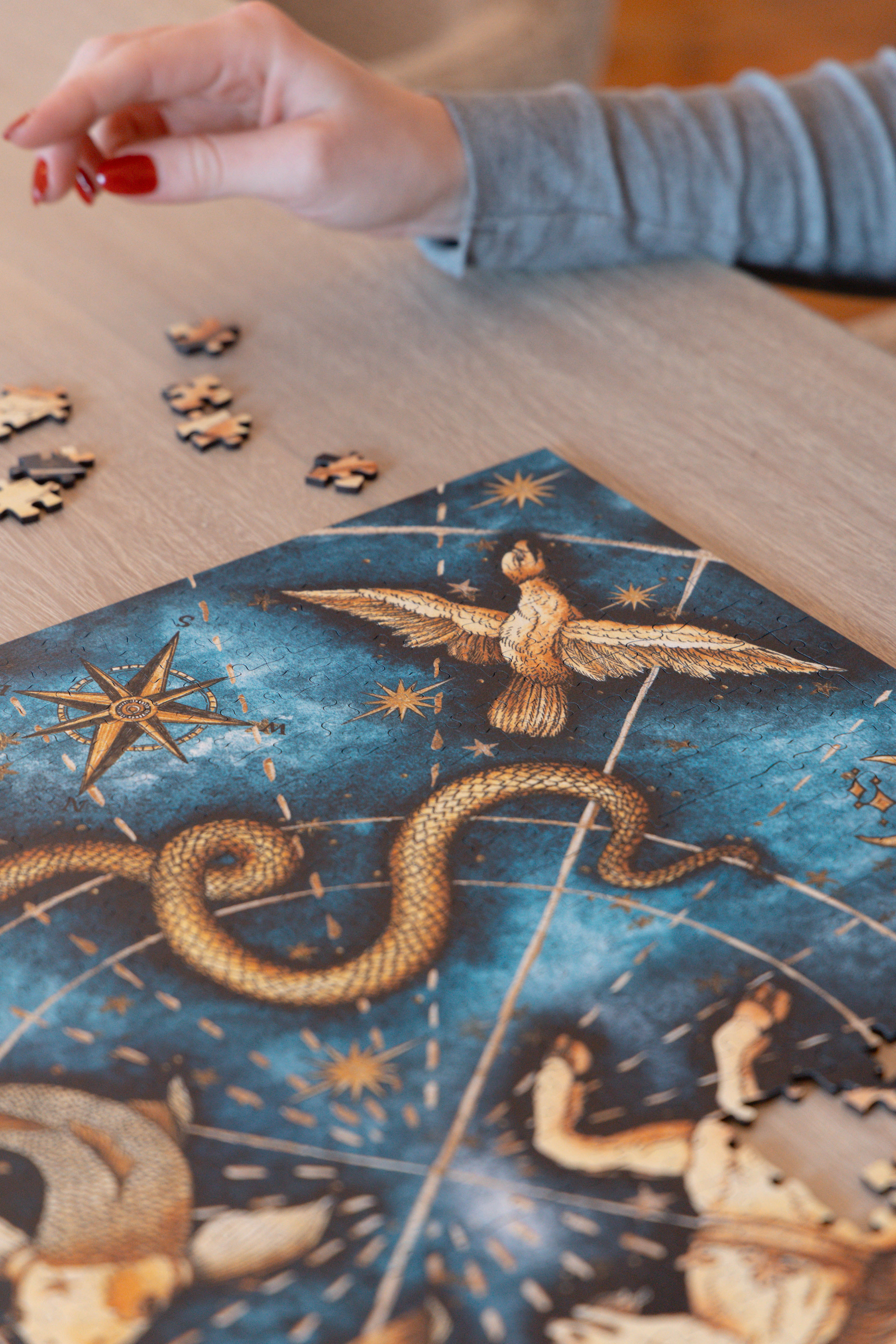 Mythology of the Stars by Libby Bell