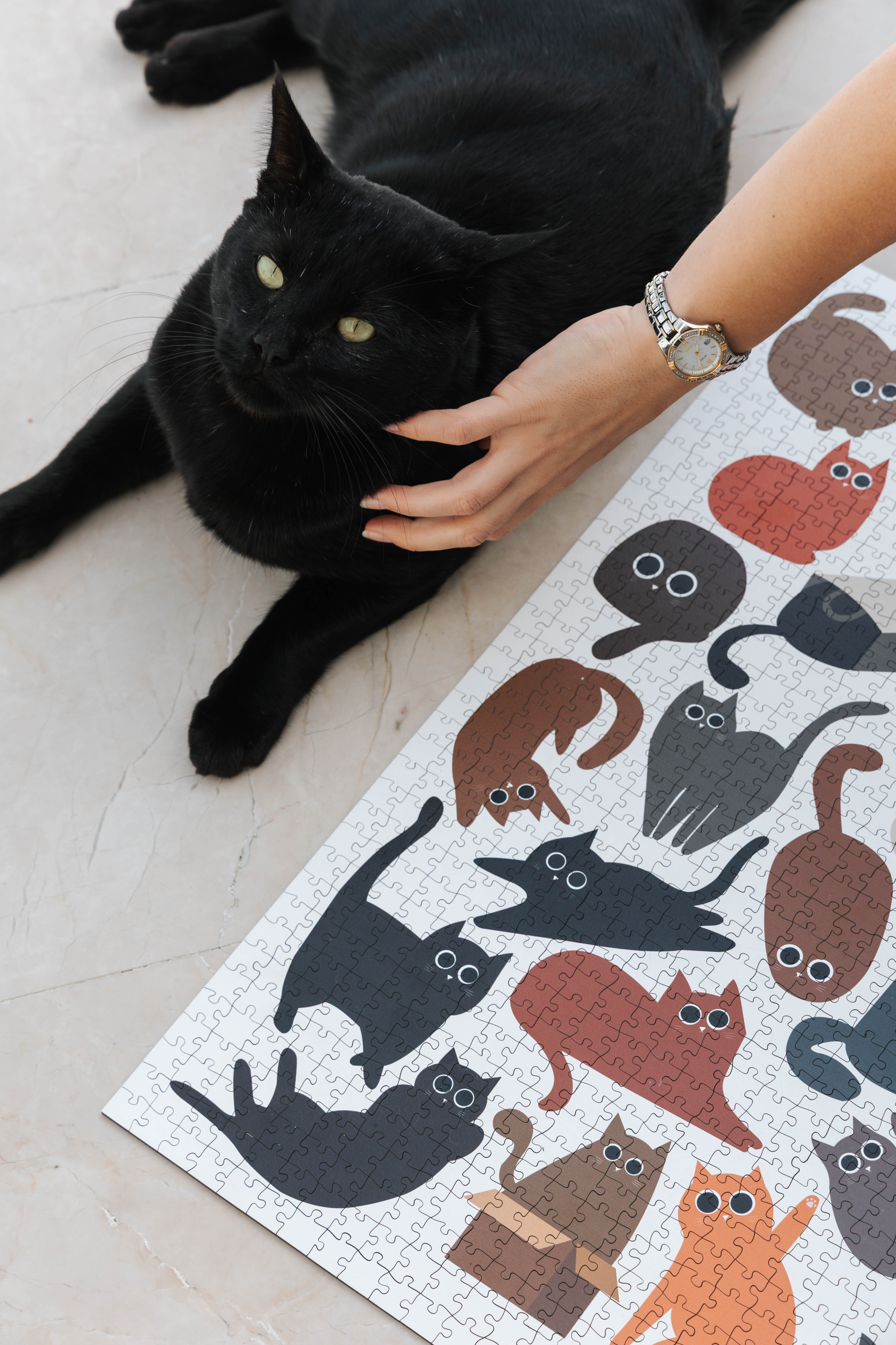 Curious Cats is a MasterPiece wooden jigsaw puzzle featuring a delightful collection of curious cats in various poses and playful scenes. This charming puzzle is a must-have for cat lovers! Precision-cut from 3mm thick wood and expertly printed, our MasterPiece puzzles offer a tactile and satisfying puzzling experience like no other. like no other. This puzzle is perfect for 'crazy cat ladies', art lovers and anyone looking for a thoughtful gift.