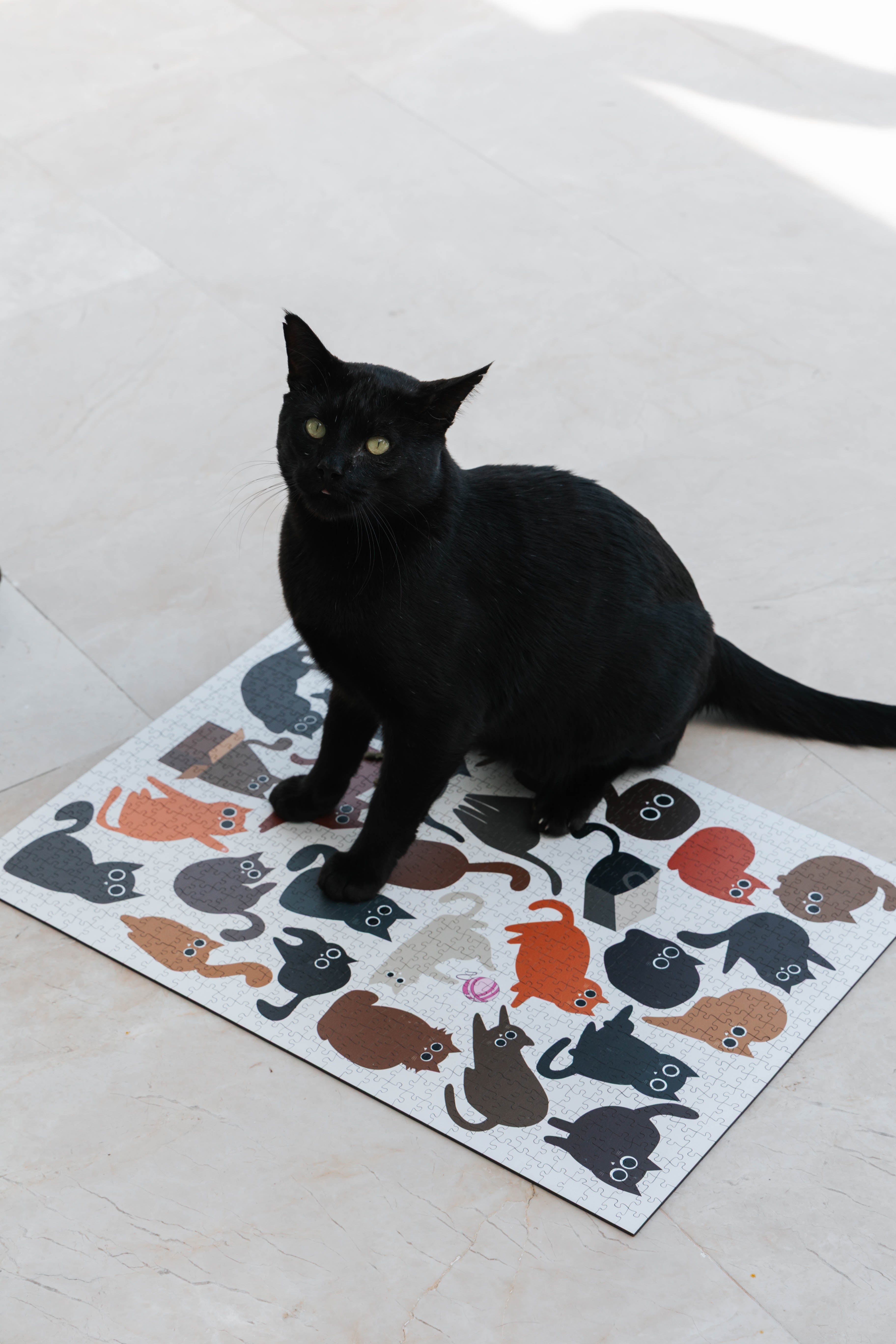 Curious Cats is a MasterPiece wooden jigsaw puzzle featuring a delightful collection of curious cats in various poses and playful scenes. This charming puzzle is a must-have for cat lovers! Precision-cut from 3mm thick wood and expertly printed, our MasterPiece puzzles offer a tactile and satisfying puzzling experience like no other. like no other. This puzzle is perfect for 'crazy cat ladies', art lovers and anyone looking for a thoughtful gift.