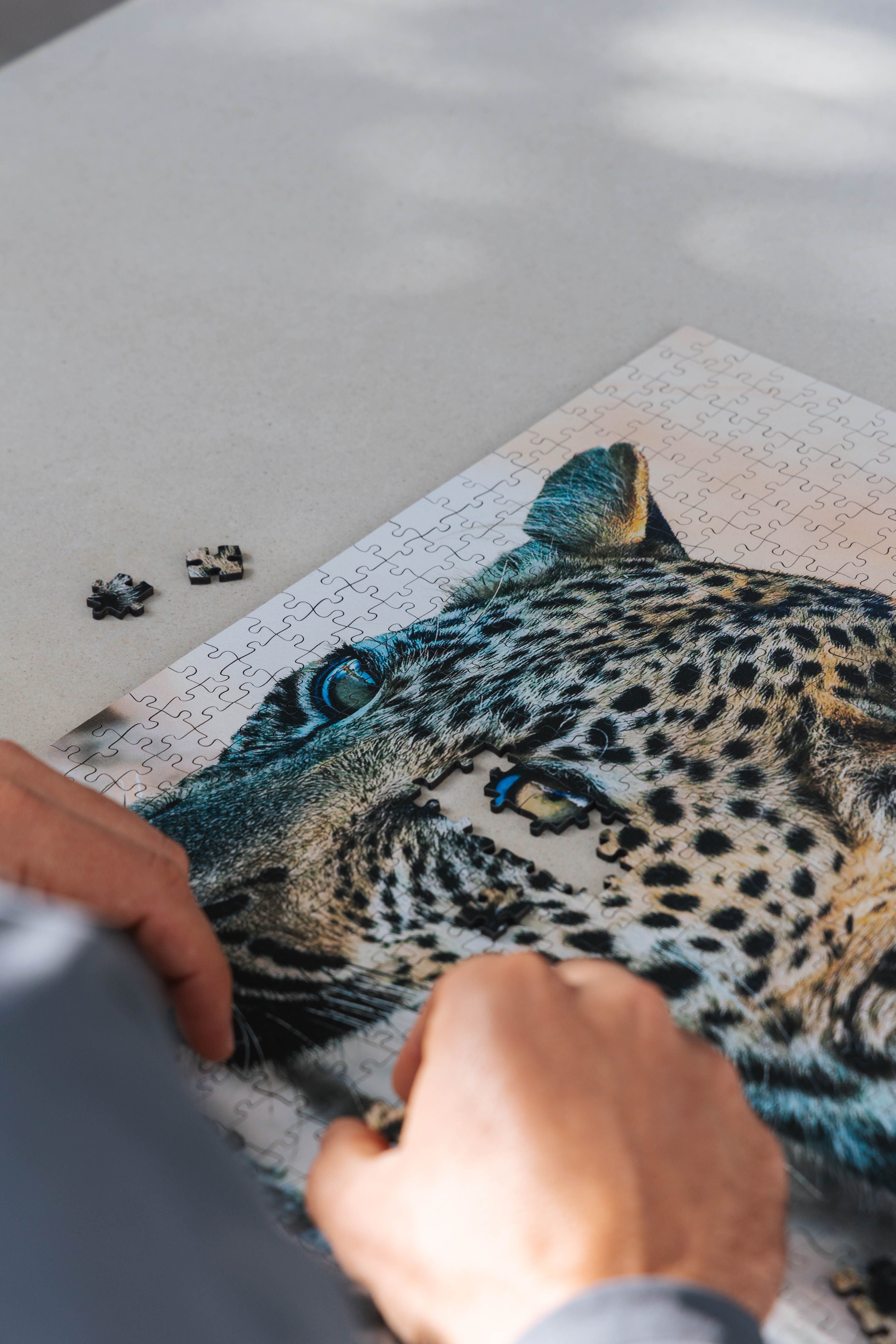 Whiskers And Water is a MasterPiece wooden jigsaw puzzle that features a beautiful photograph of a leopard drinking at the water's edge.

Precision-cut from 3mm wood and expertly printed, our MasterPiece puzzles offer a tactile and satisfying puzzling experience like no other. They are perfect for wildlife lovers, nature enthusiasts and anyone looking for a thoughtful gift.