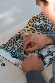 Whiskers And Water is a MasterPiece wooden jigsaw puzzle that features a beautiful photograph of a leopard drinking at the water's edge.

Precision-cut from 3mm wood and expertly printed, our MasterPiece puzzles offer a tactile and satisfying puzzling experience like no other. They are perfect for wildlife lovers, nature enthusiasts and anyone looking for a thoughtful gift.