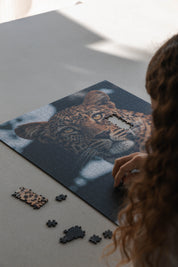 Leopard Portrait