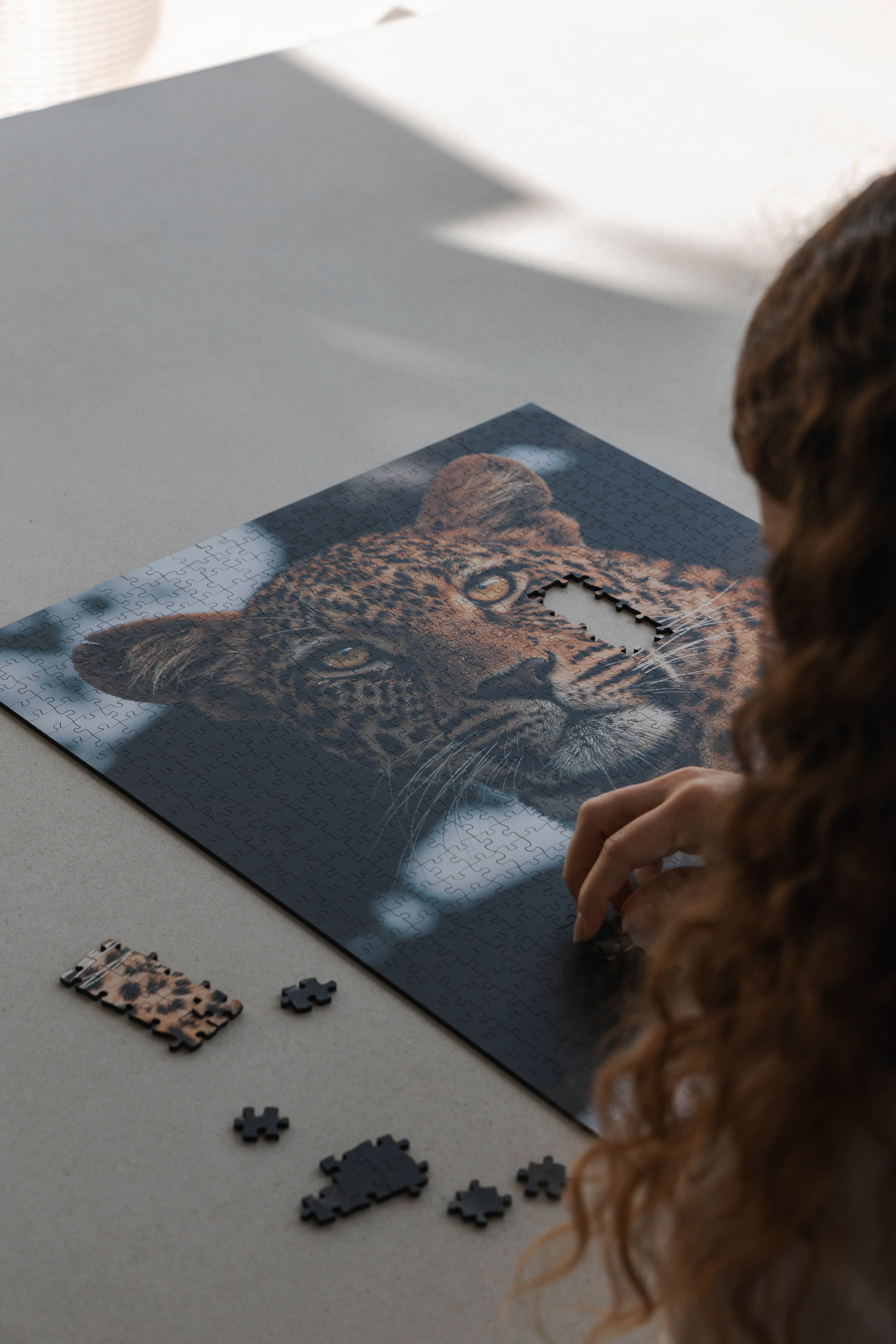 Leopard Portrait