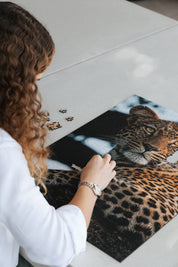 Leopard Portrait