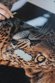 Leopard Portrait