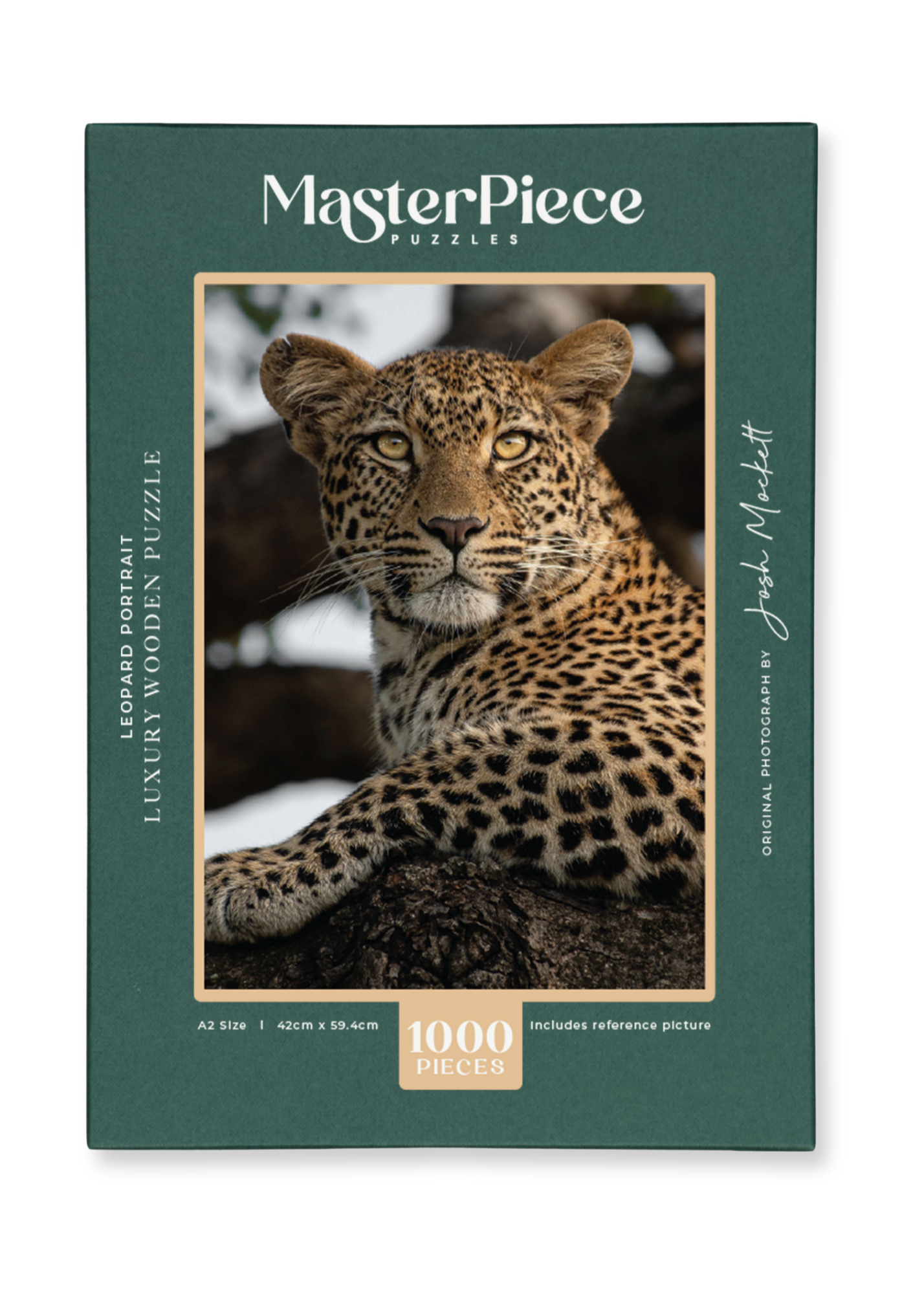Leopard Portrait
