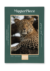 Leopard Portrait