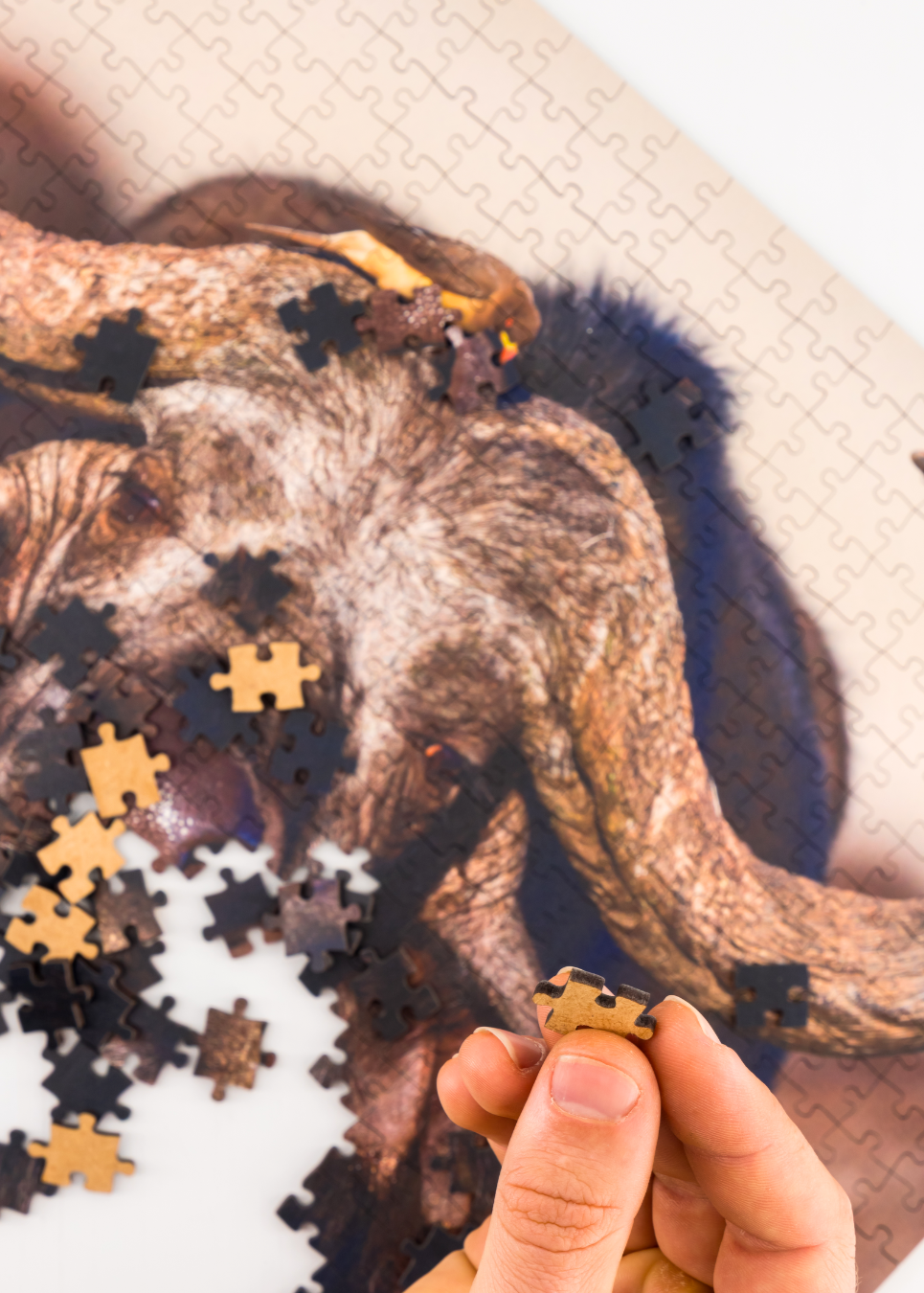 MasterPiece luxury wooden puzzle of a South African wildlife photograph of a buffalo and ox-pecker taken by Isak Pretorius. A way to disconnect, relieve stress and a great gift idea.