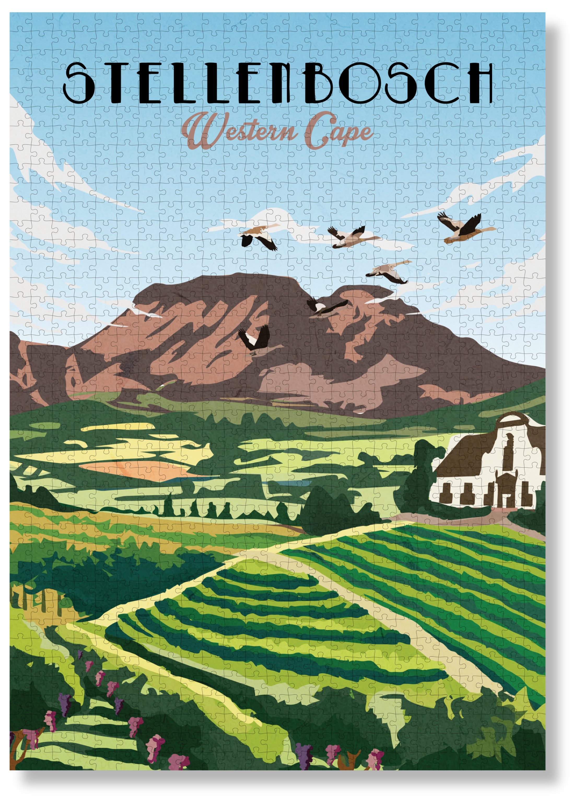 Stellenbosch by Roam Travel Poster Co.