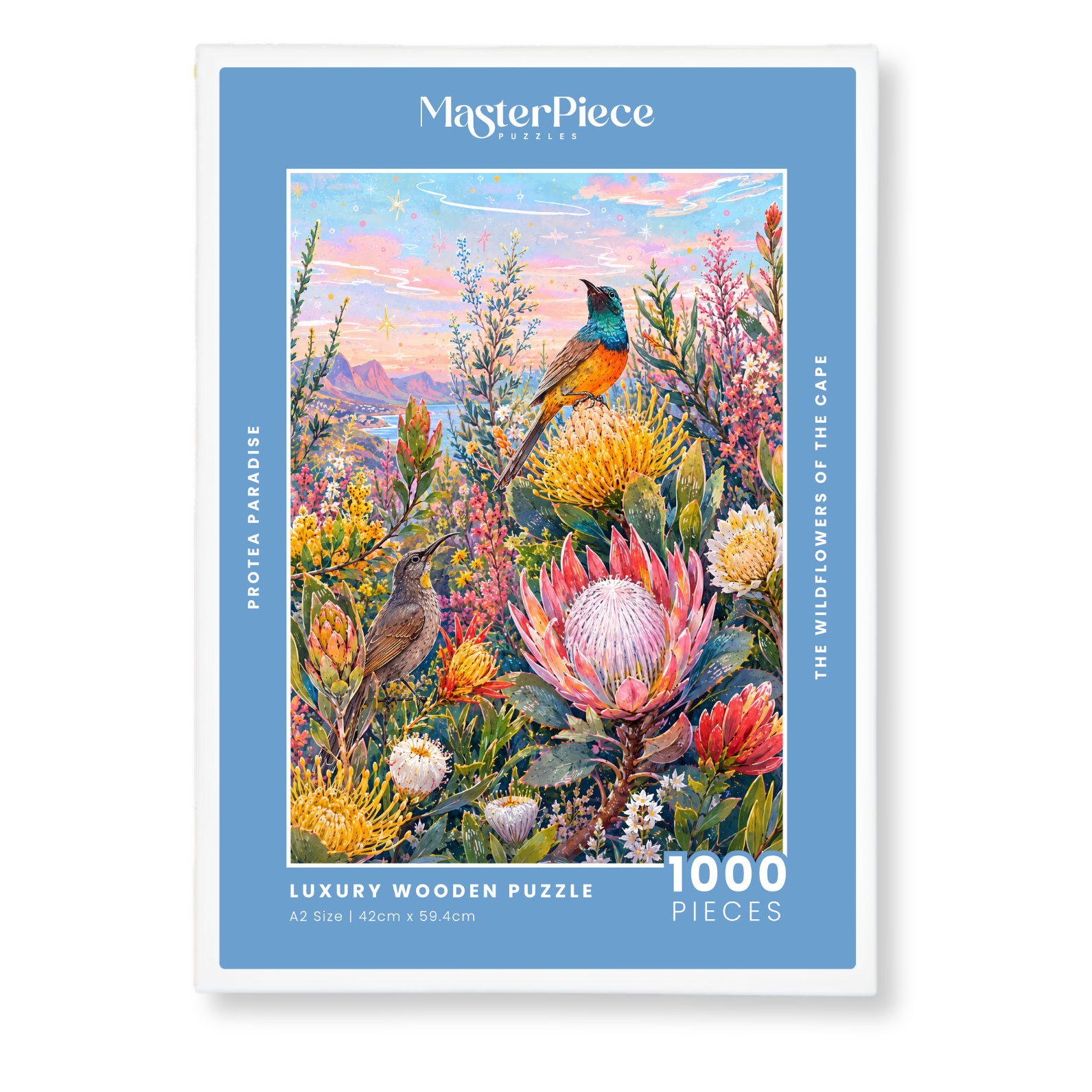 2_f8a17817-ddd6-4b02-9d1e-9f40e6f82b17.png