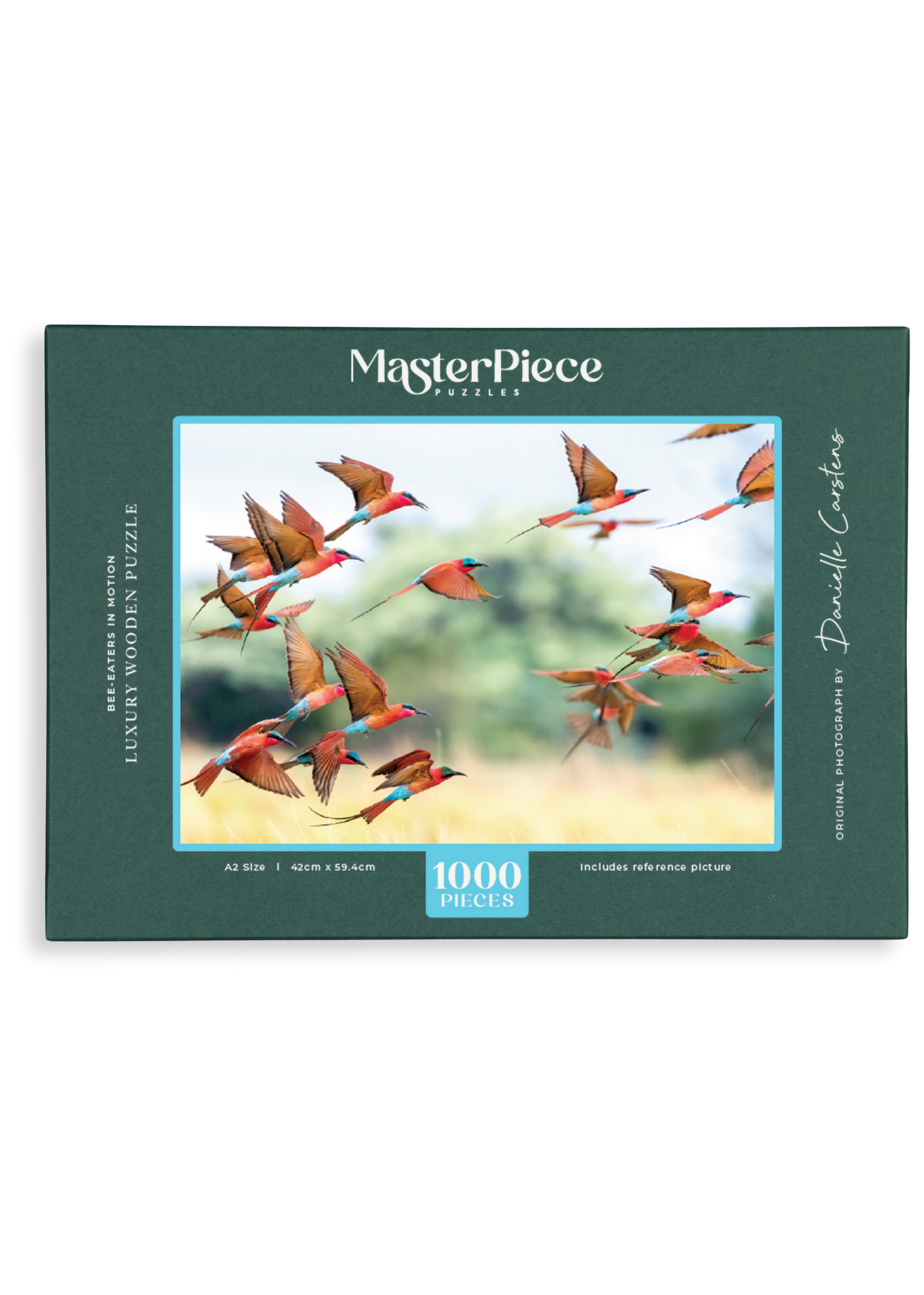 Bee-Eaters In Motion