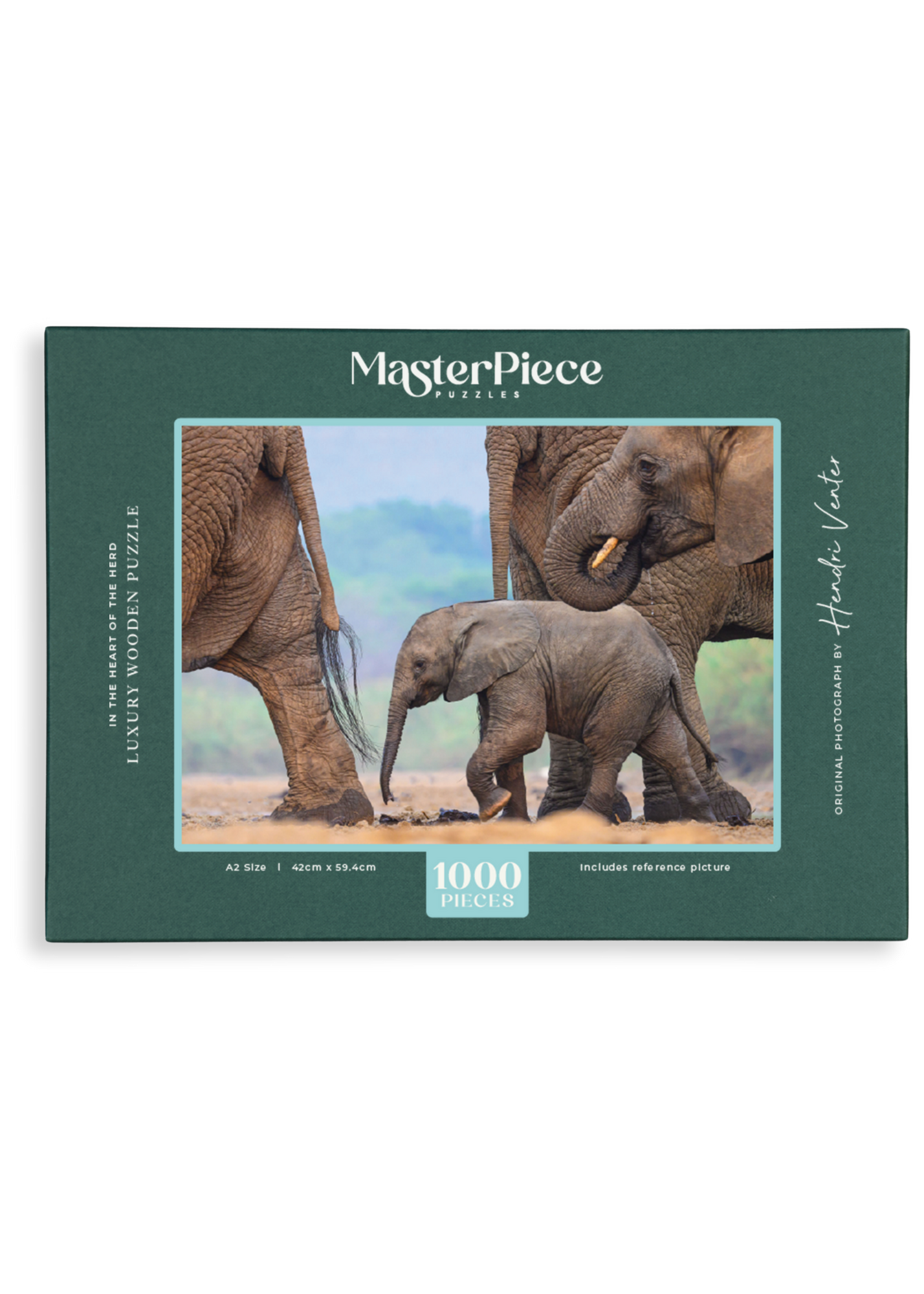 In The Heart Of The Herd