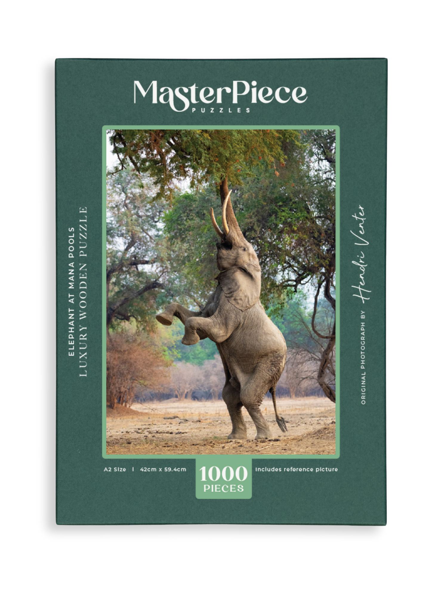 Elephant at Mana Pools