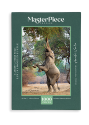 Elephant at Mana Pools