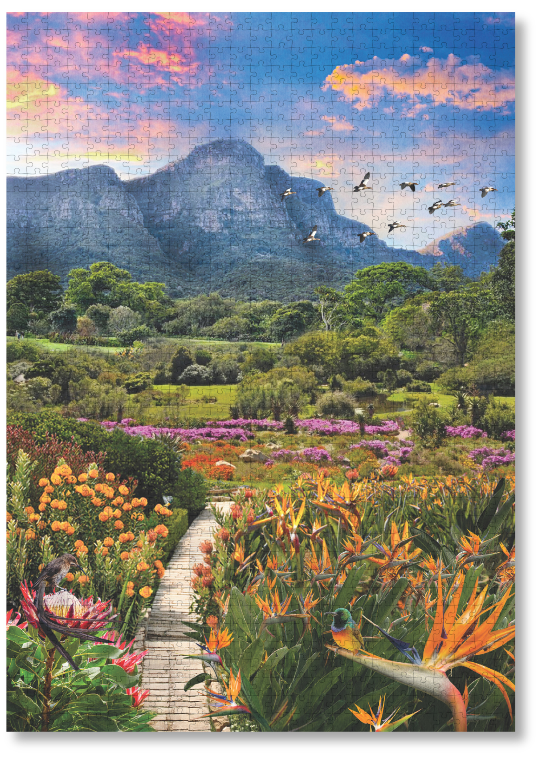 Kirstenbosch African Odyssey is a MasterPiece wooden jigsaw puzzle from the African Odyssey poster series designed to showcase Africa’s most iconic natural wonders. Nestled against the eastern slopes of Table Mountain in Cape Town, Kirstenbosch is widely regarded as one of the most beautiful botanical gardens in the world. Established in 1913, it was the first botanical garden dedicated to preserving a country’s indigenous flora and is home to thousands of plant species found nowhere else on Earth. Kirstenb
