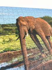 Among The Blossoms is a premium wooden jigsaw puzzle that features a beautiful photograph of an elephant. Perfect for wildlife lovers, nature enthusiasts and thoughtful gift buyers.