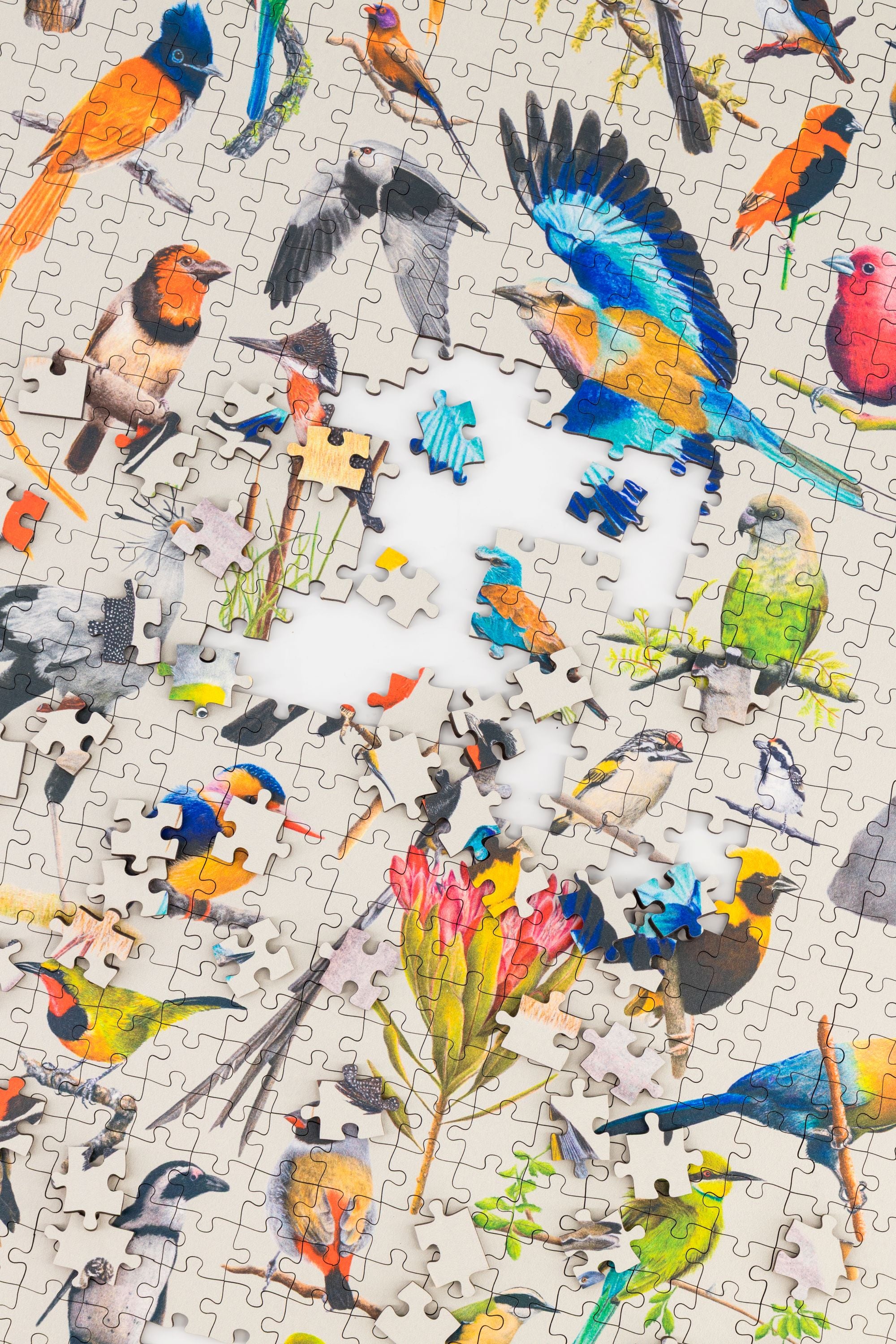 A premium wooden jigsaw puzzle that features 68 bird species, hand drawn by Matthew Bell. Perfect for wildlife lovers, bird enthusiasts and gift buyers.