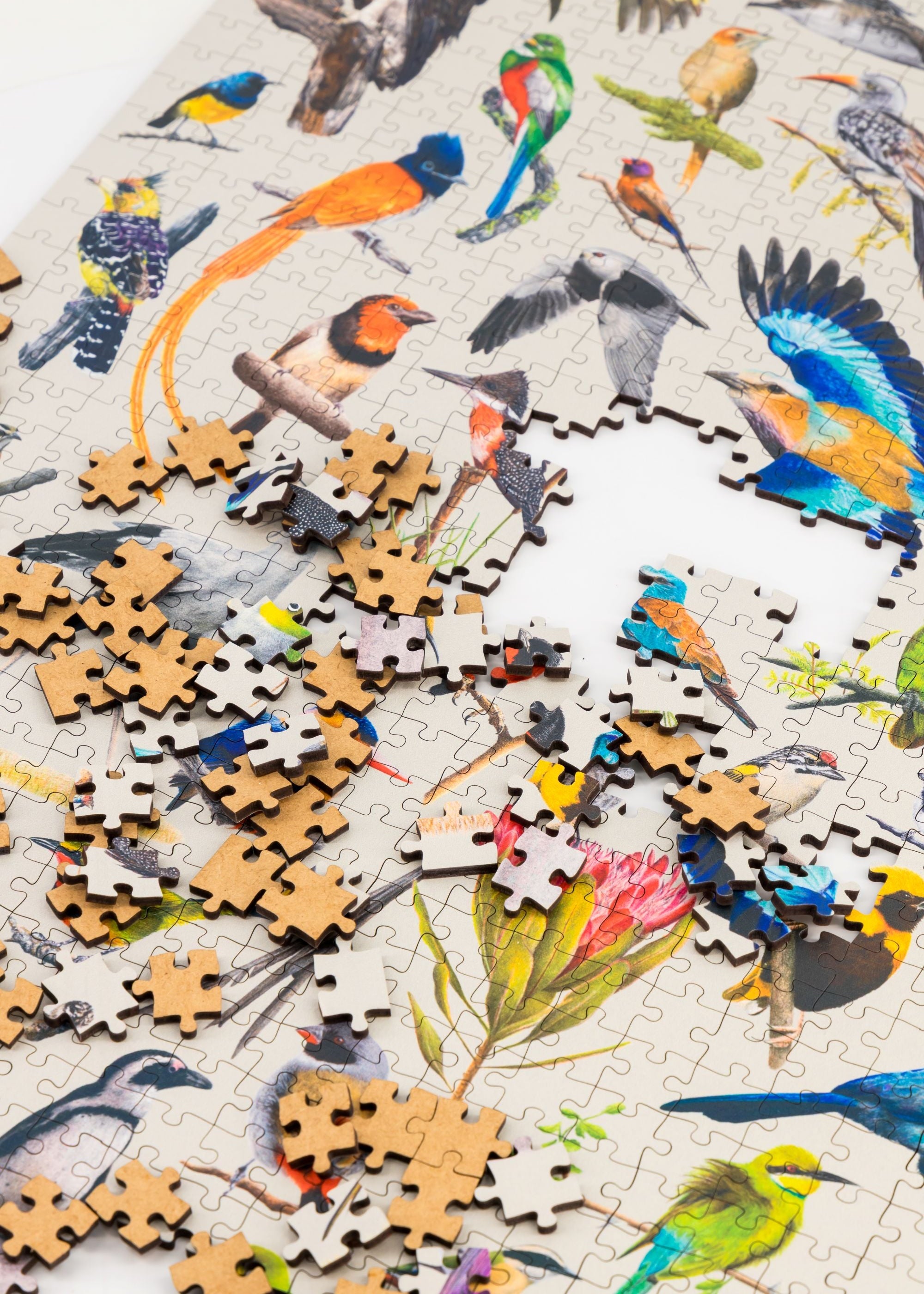 A premium wooden jigsaw puzzle that features 68 bird species, hand drawn by Matthew Bell. Perfect for wildlife lovers, bird enthusiasts and gift buyers.