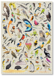 A premium wooden jigsaw puzzle that features 68 bird species, hand drawn by Matthew Bell. Perfect for wildlife lovers, bird enthusiasts and gift buyers.