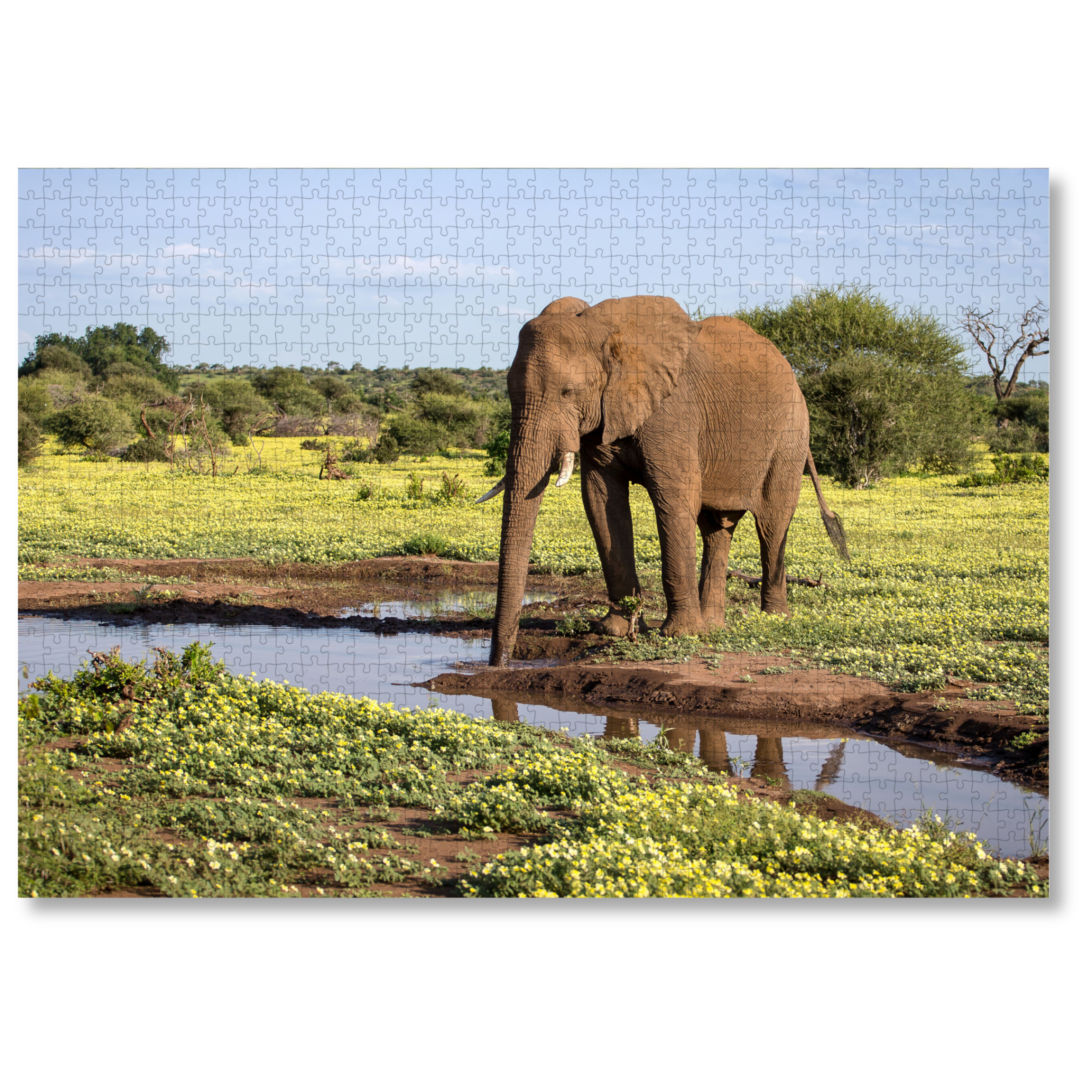 ELE_8d150330-5aa2-4fe6-8c12-ed761a935a87.png