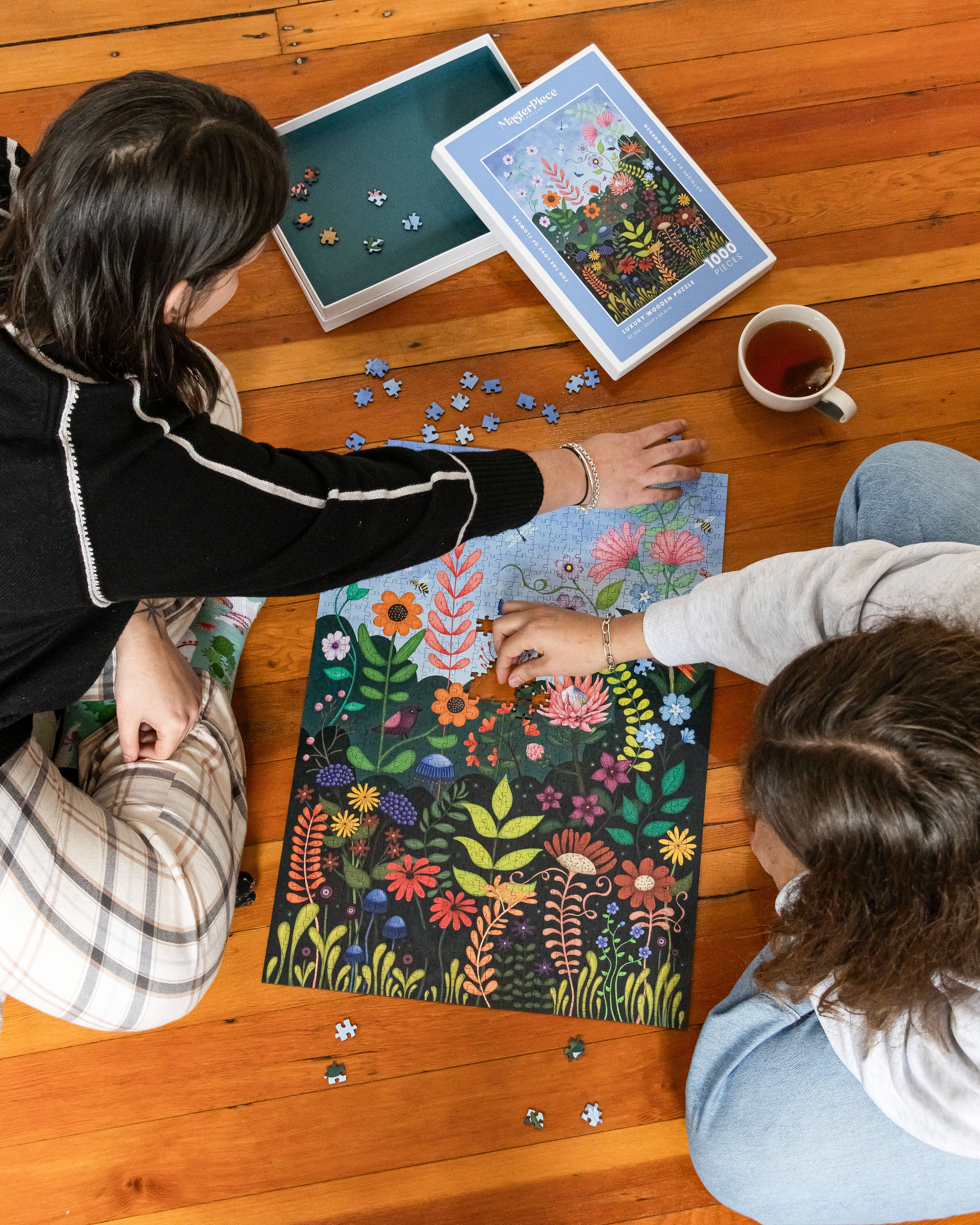 For The Love Of Flowers by Claire Norden
