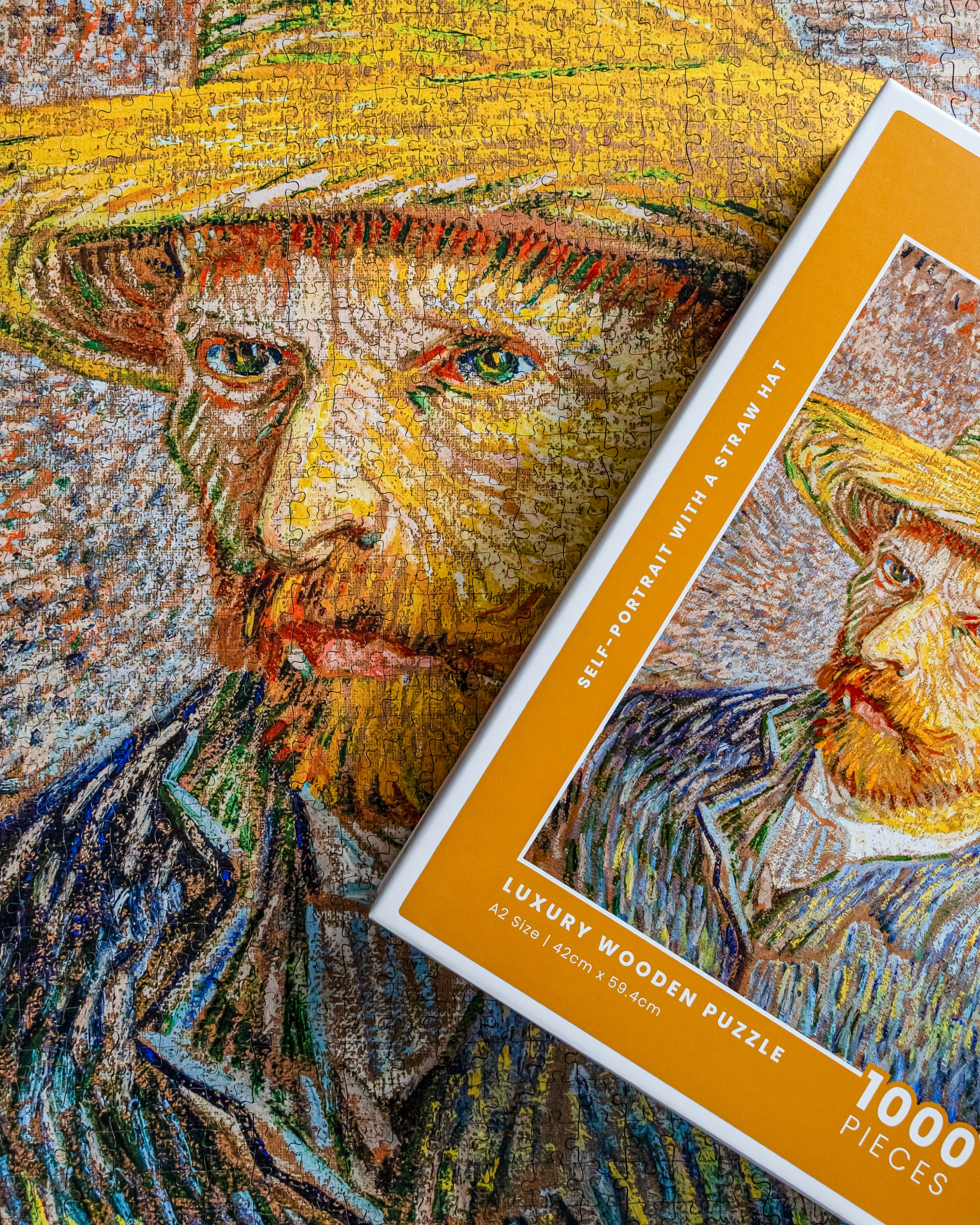 Self-Portrait with a Straw Hat by Van Gogh