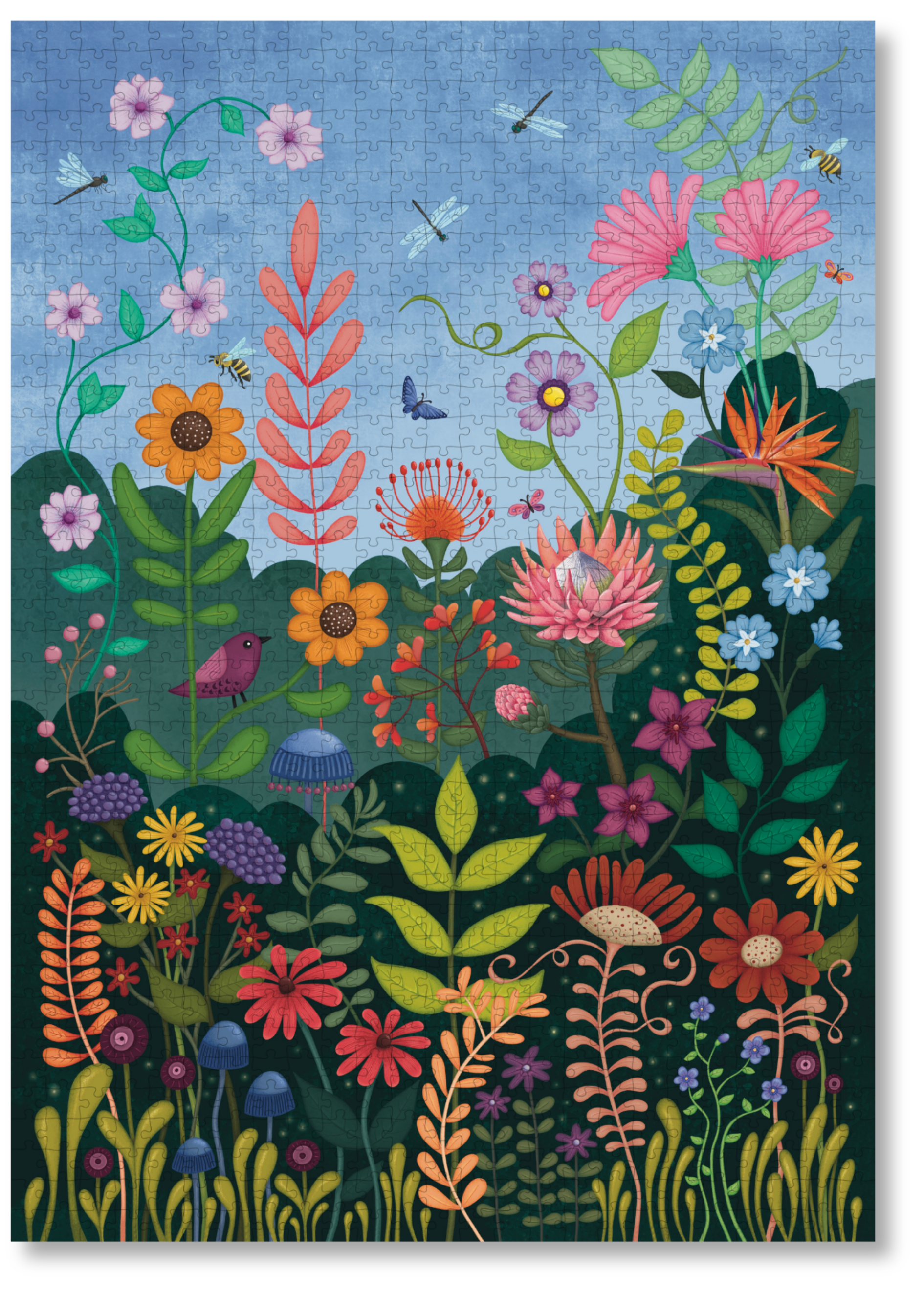 For The Love Of Flowers by Claire Norden