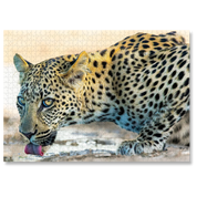 MasterPiece luxury wooden puzzle of a photograph of a leopard drinking water taken by aul and Derrn Nash