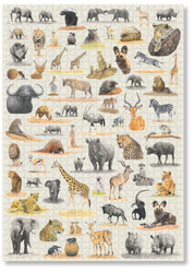 South African Wildlife by Matthew Bell