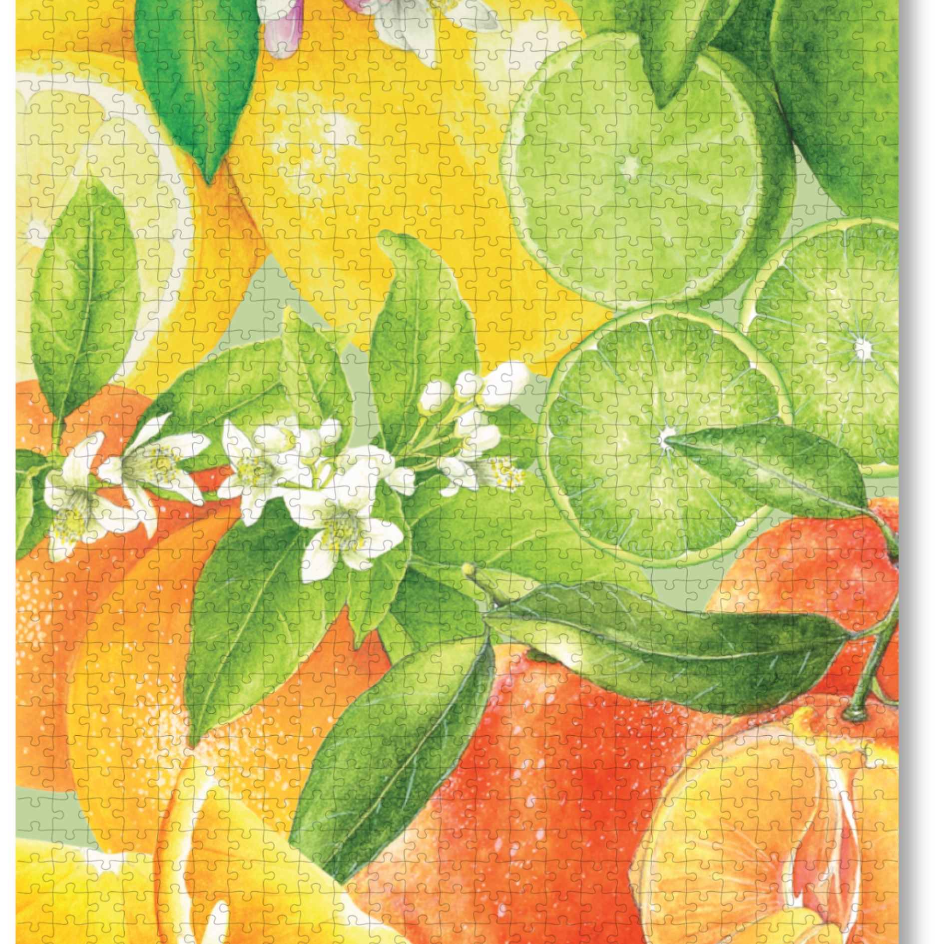 MasterPiece luxury wooden puzzle of Libby Bell watercolour artwork of citrus fruits.