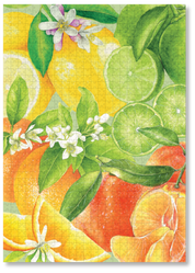 MasterPiece luxury wooden puzzle of Libby Bell watercolour artwork of citrus fruits.