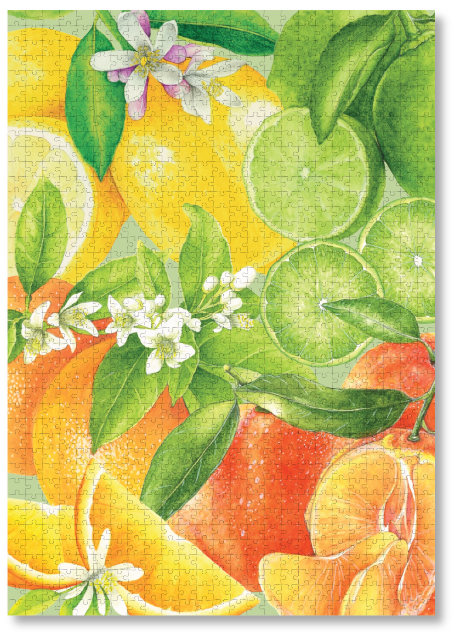 MasterPiece luxury wooden puzzle of Libby Bell watercolour artwork of citrus fruits.