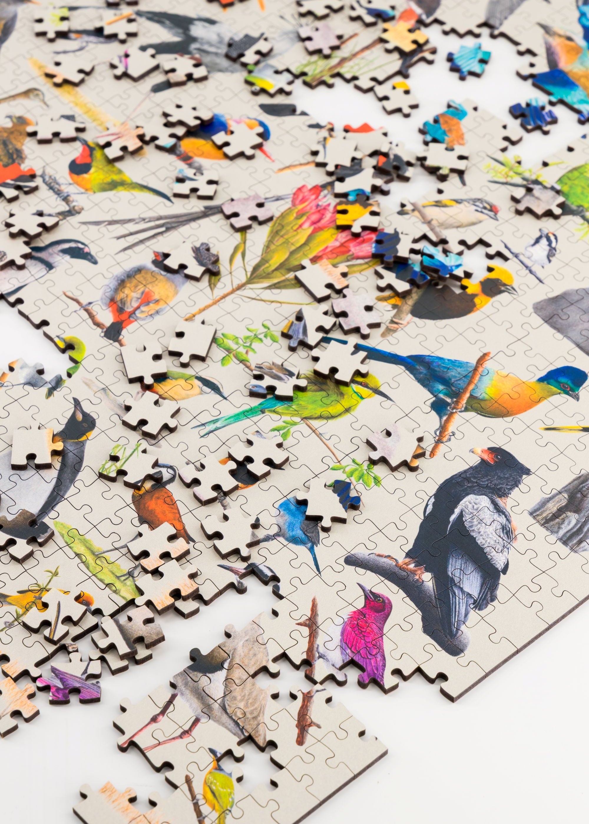 A premium wooden jigsaw puzzle that features 68 bird species, hand drawn by Matthew Bell. Perfect for wildlife lovers, bird enthusiasts and gift buyers.
