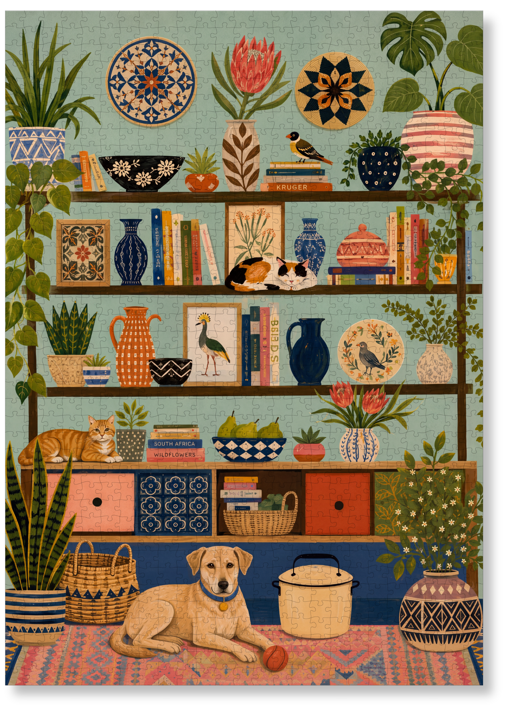 The Comfort Shelf