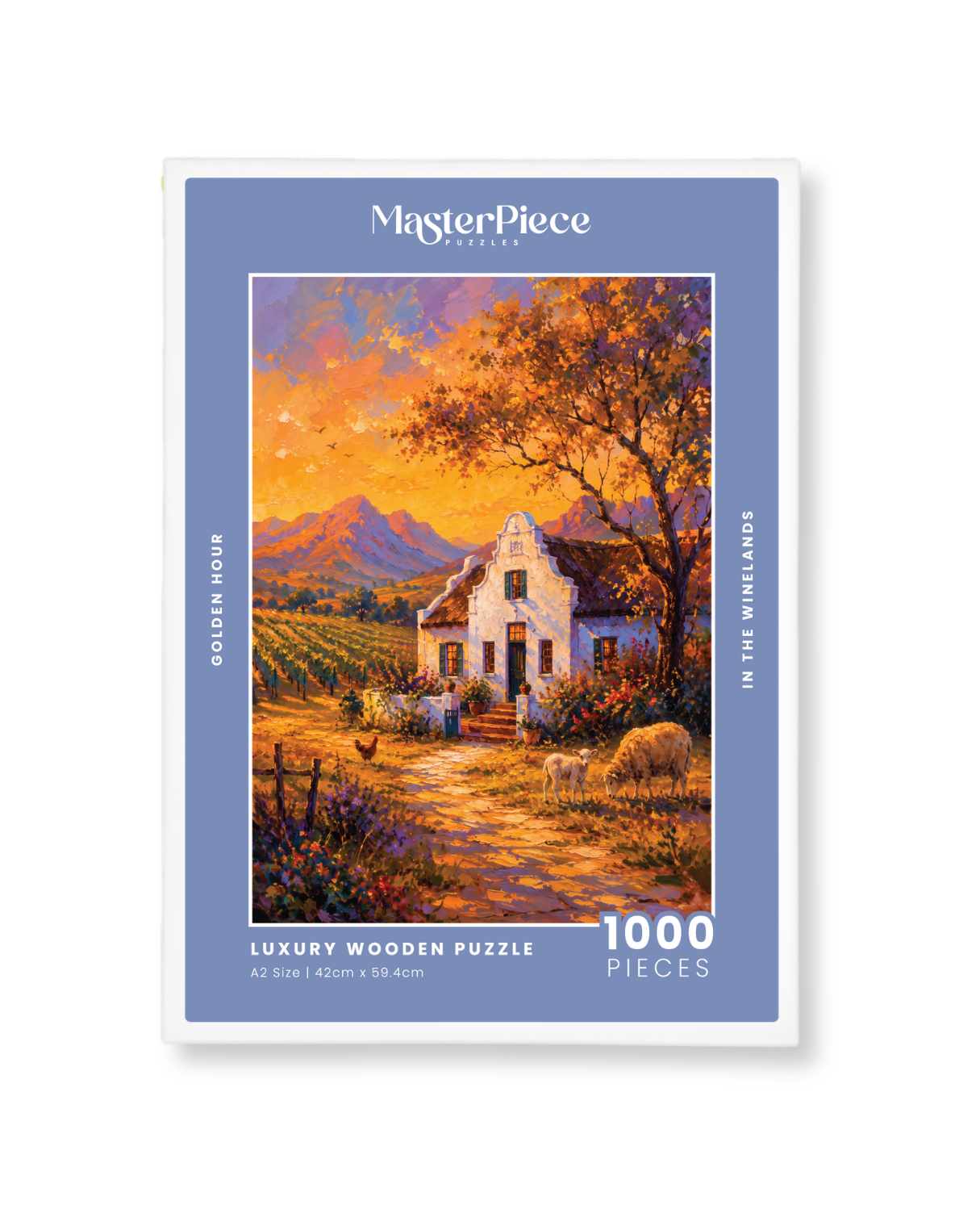 Golden Hour in the Winelands