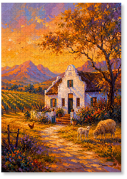 Golden Hour in the Winelands