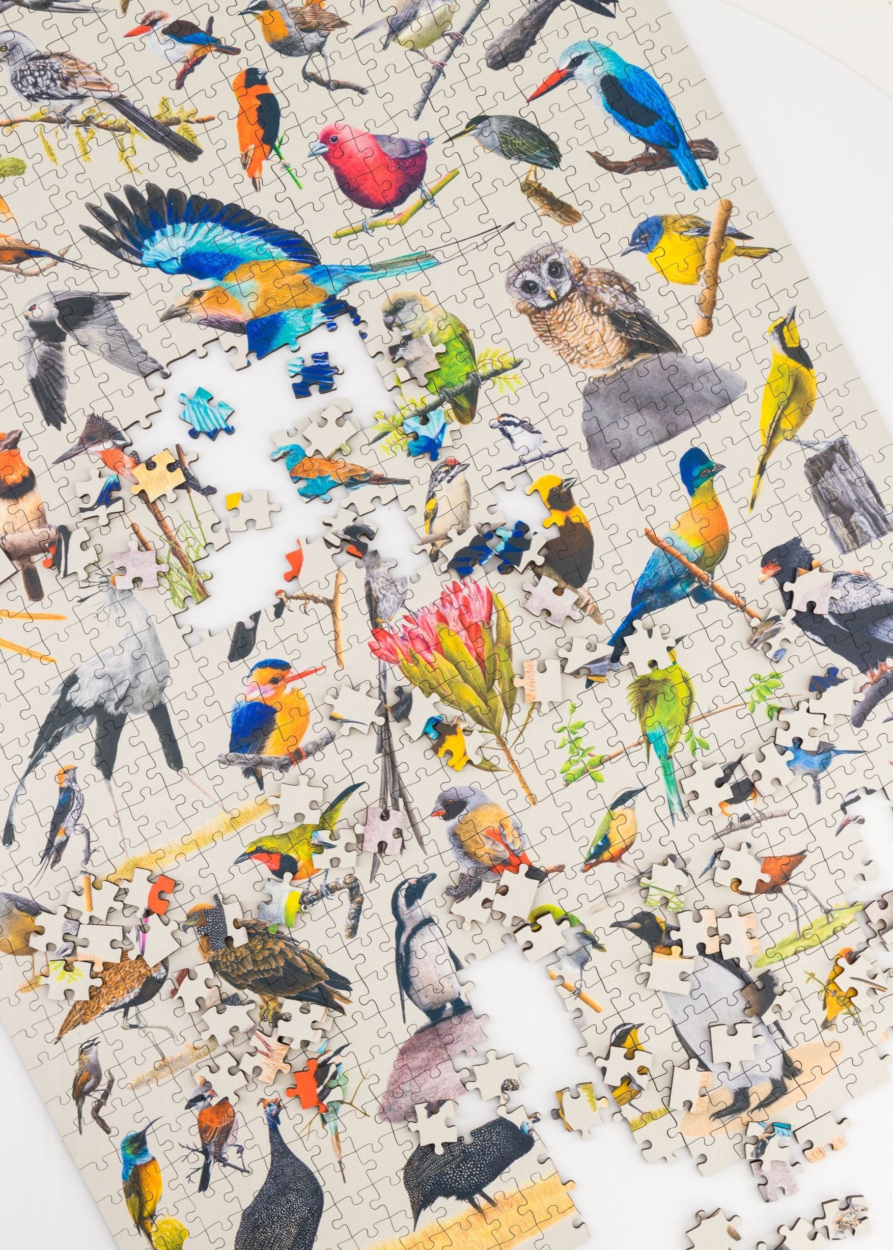 MasterPiece luxury wooden puzzle of  artwork Birds of South Africa by Matthew Bell Art. Made in Cape Town, South Africa.