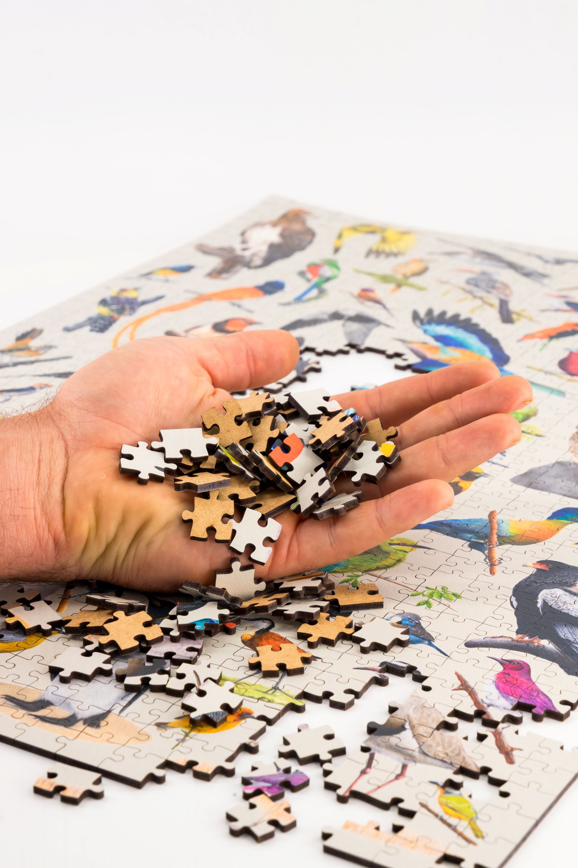 A premium wooden jigsaw puzzle that features 68 bird species, hand drawn by Matthew Bell. Perfect for wildlife lovers, bird enthusiasts and gift buyers.