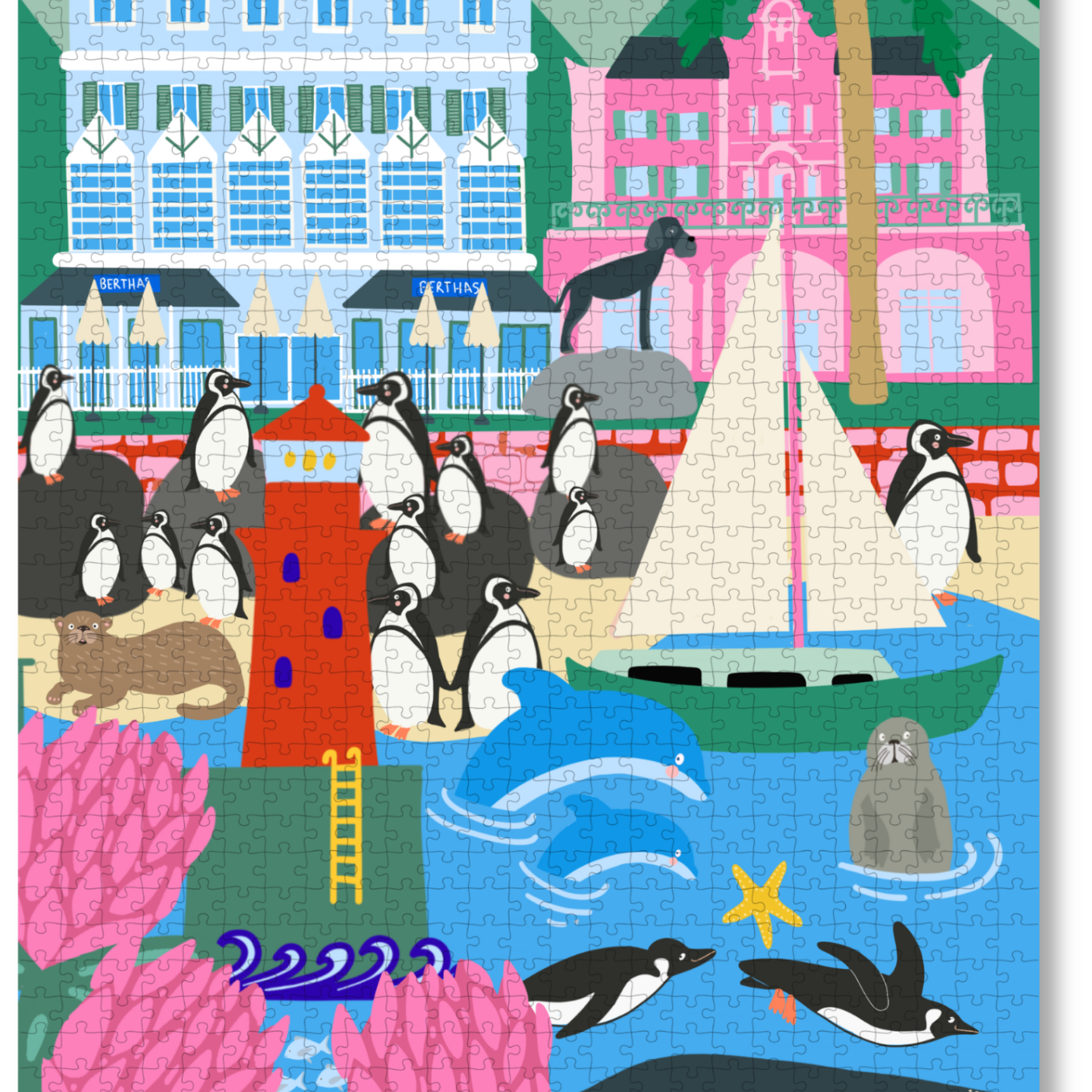 SIMONSTOWN.png