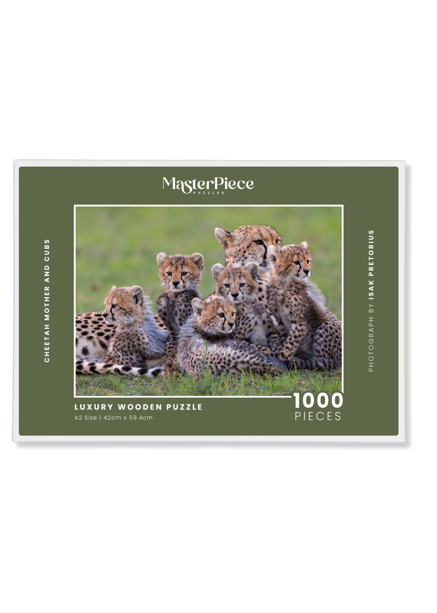 Cheetah Mother And Cubs