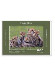 Cheetah Mother And Cubs